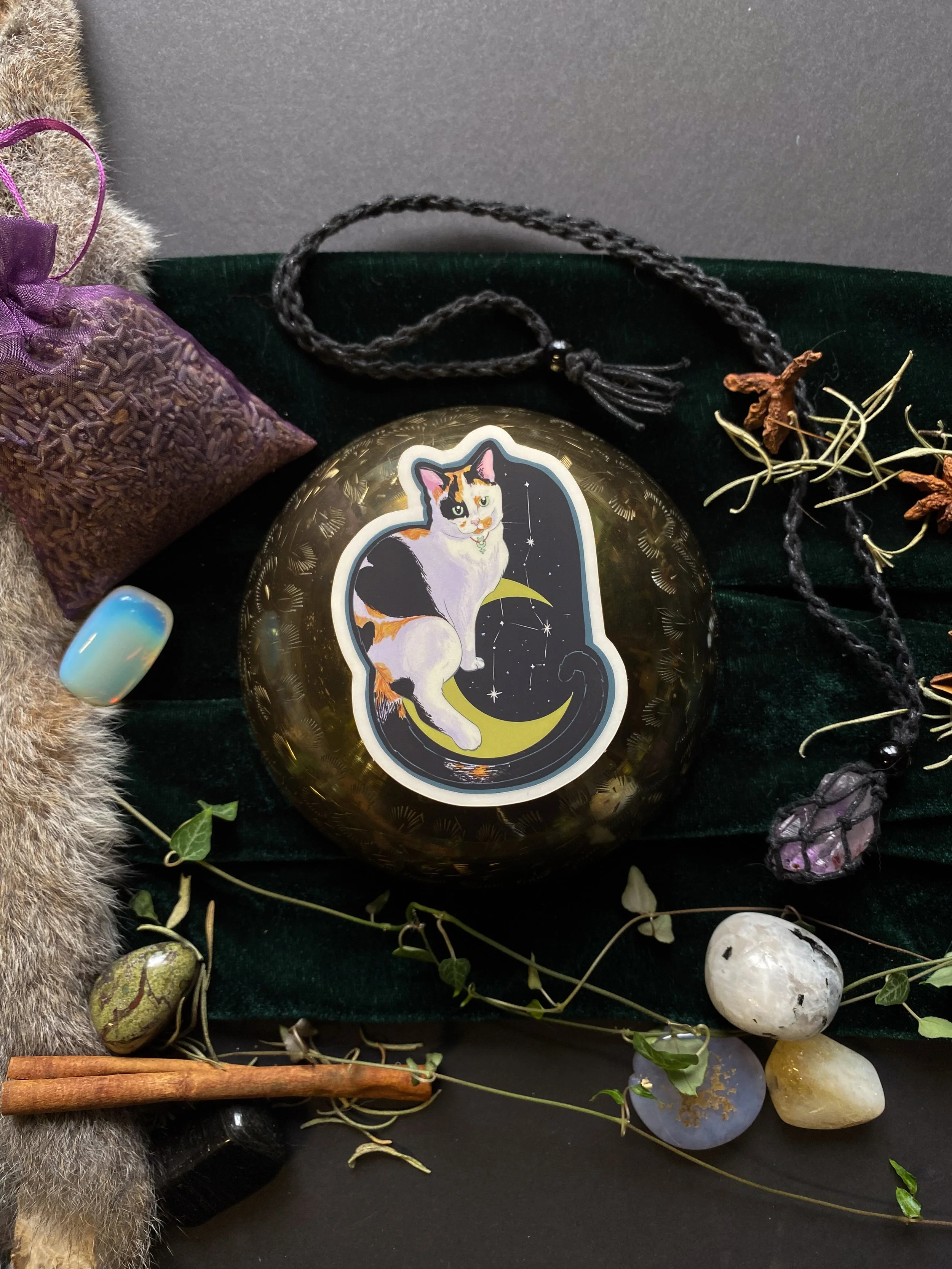 Constelation Cat Sticker - Mochi