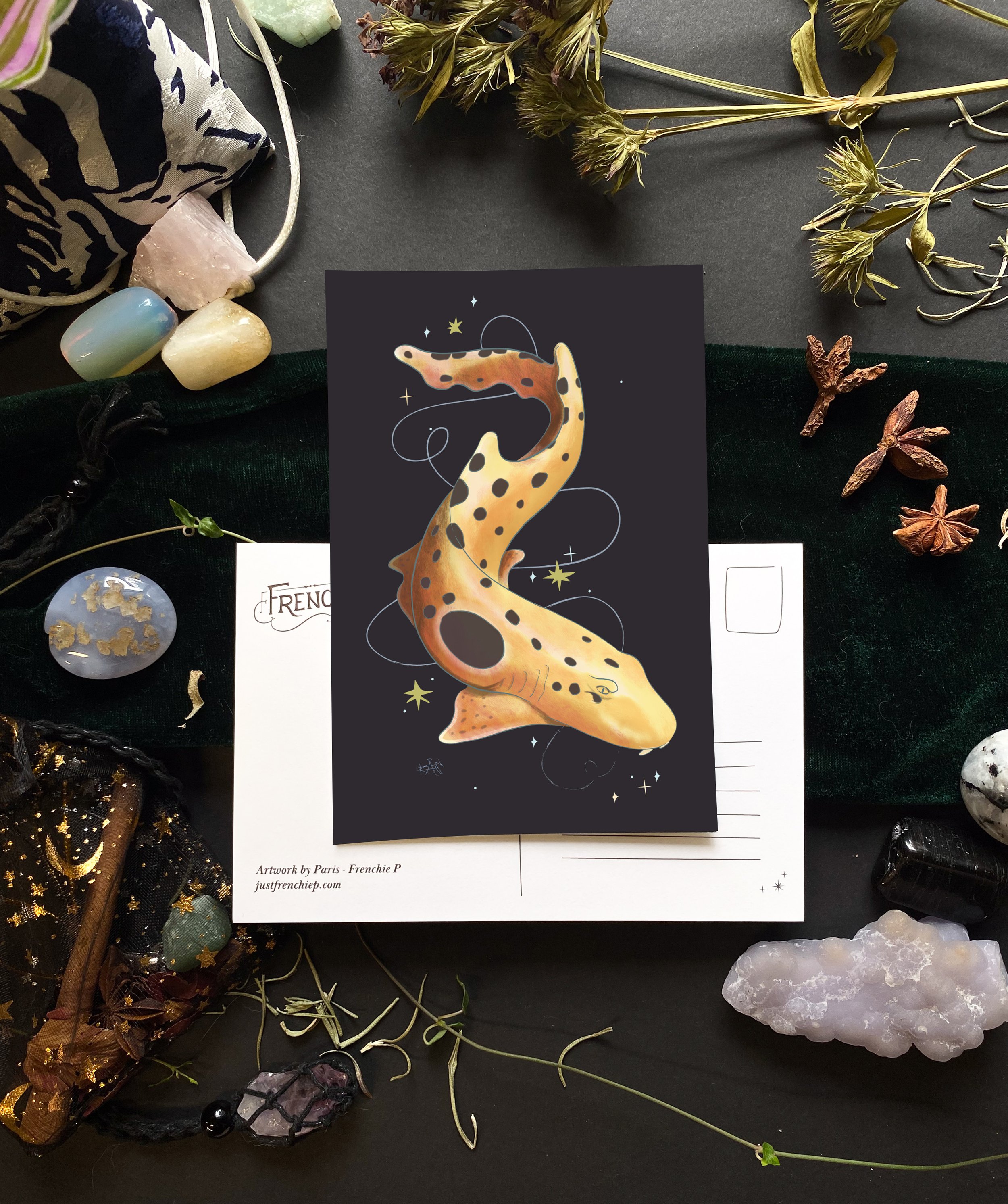 Epaulette Shark Postcard
