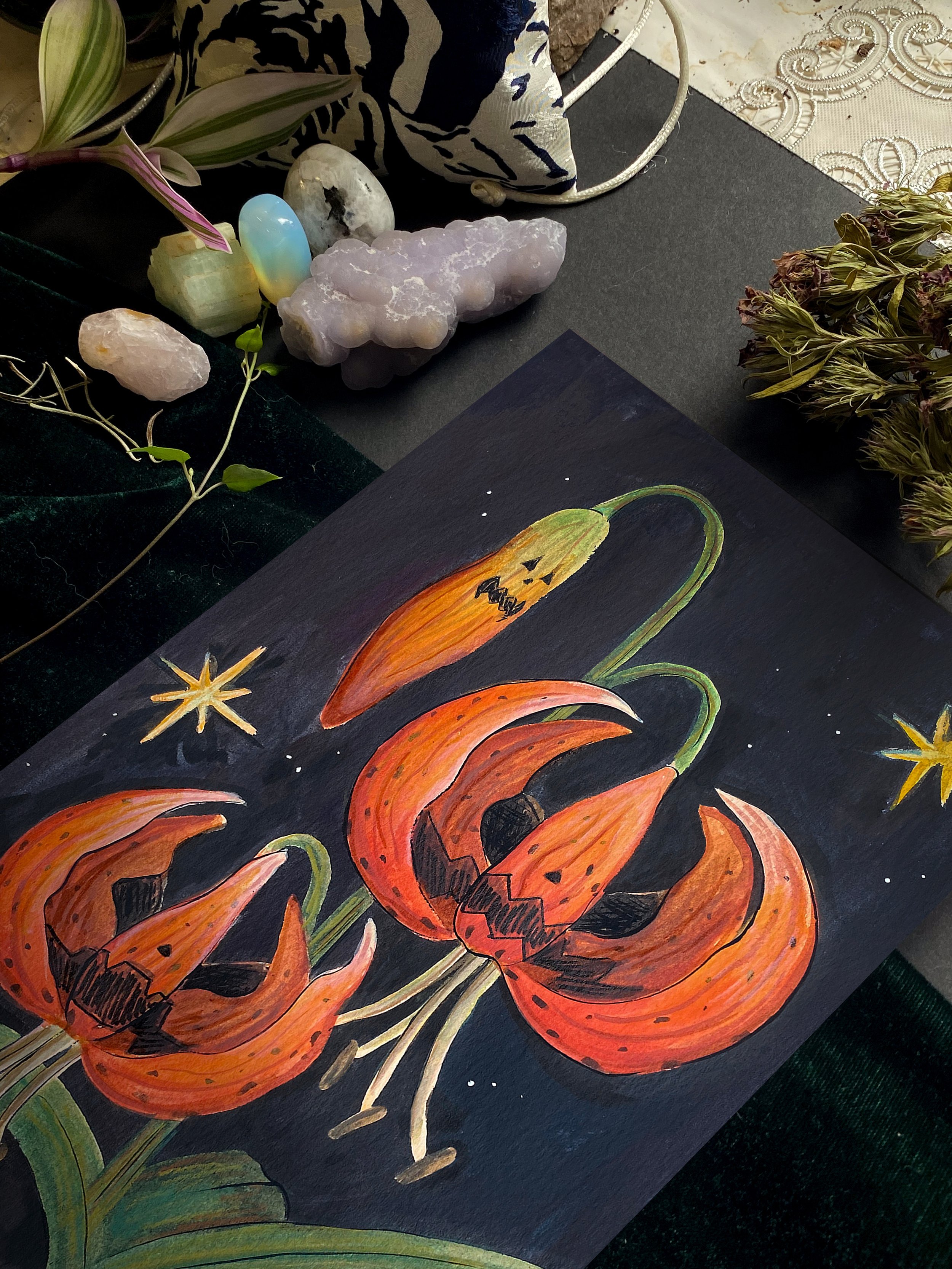 Jack-o-lily 9x6 2.jpg