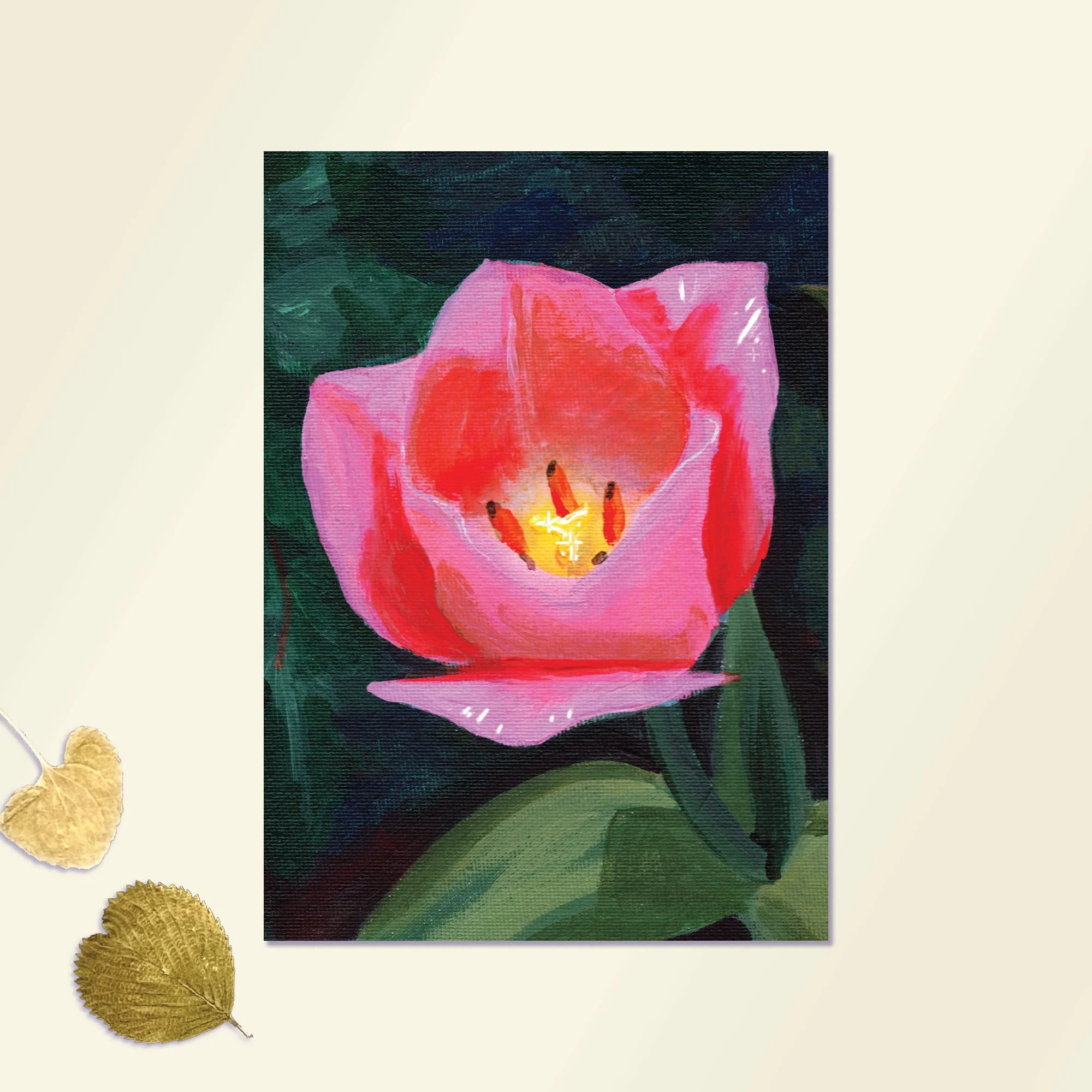 Tulip 5x7