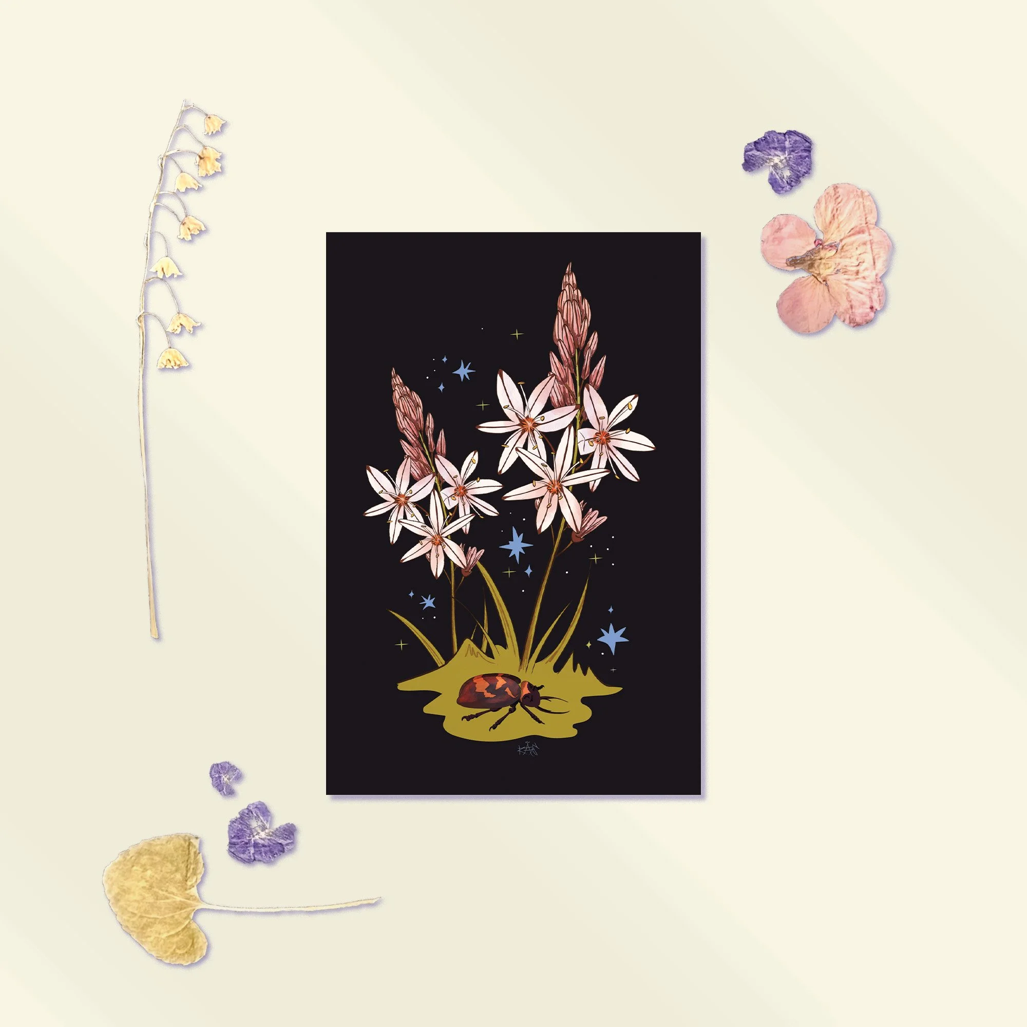 Asphodel Postcard