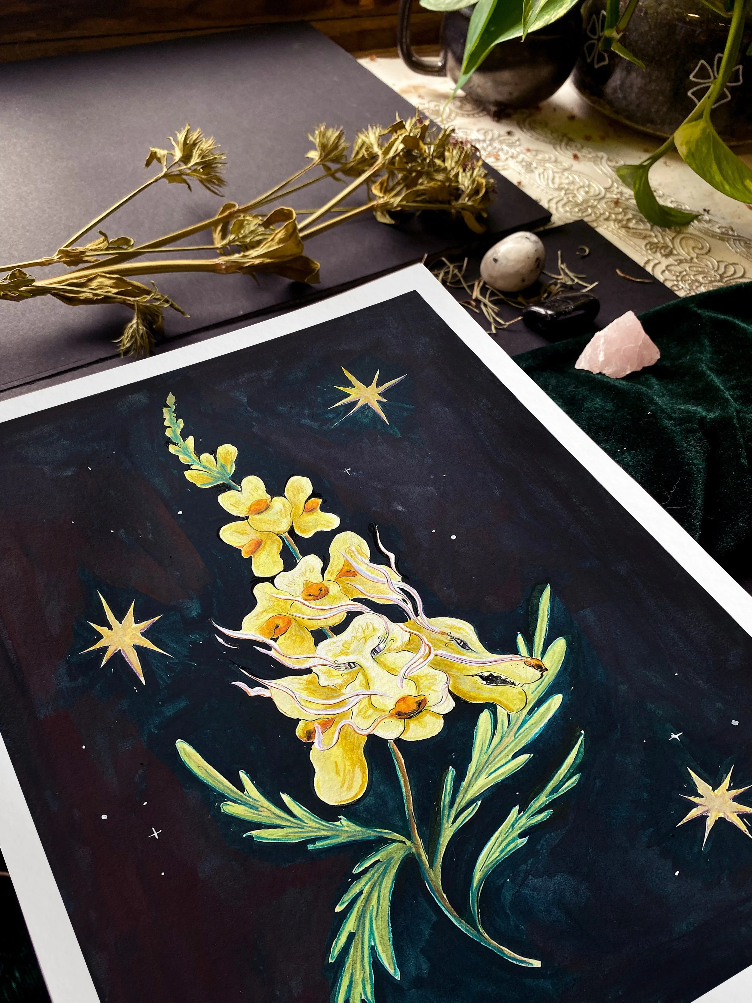 Snap Dragons 9x12 close up.jpg