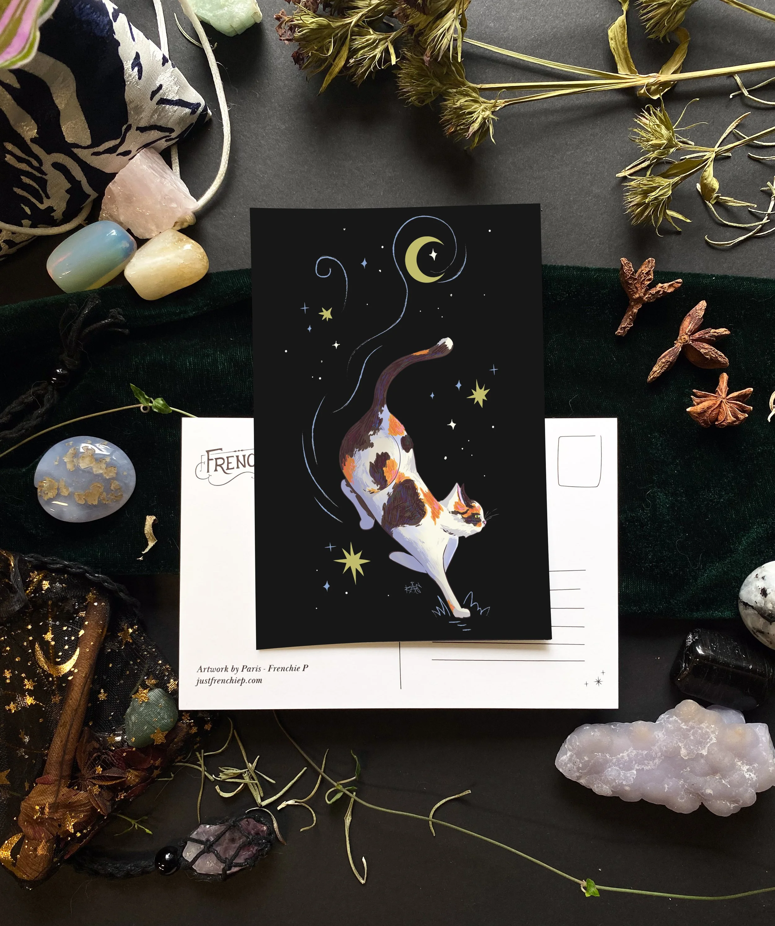 Mochi Postcard