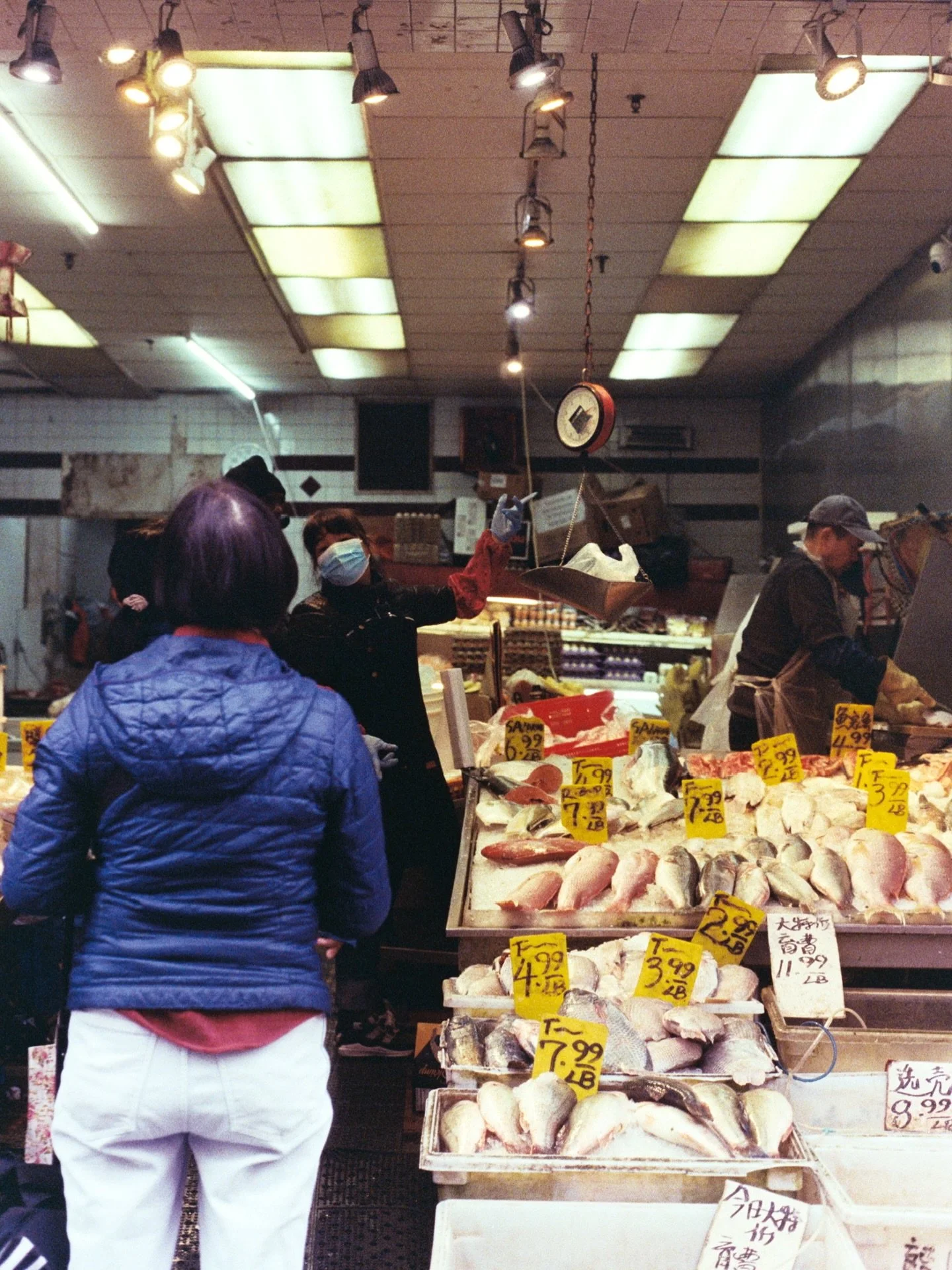 Chinatown NYC, 2025
35mm film