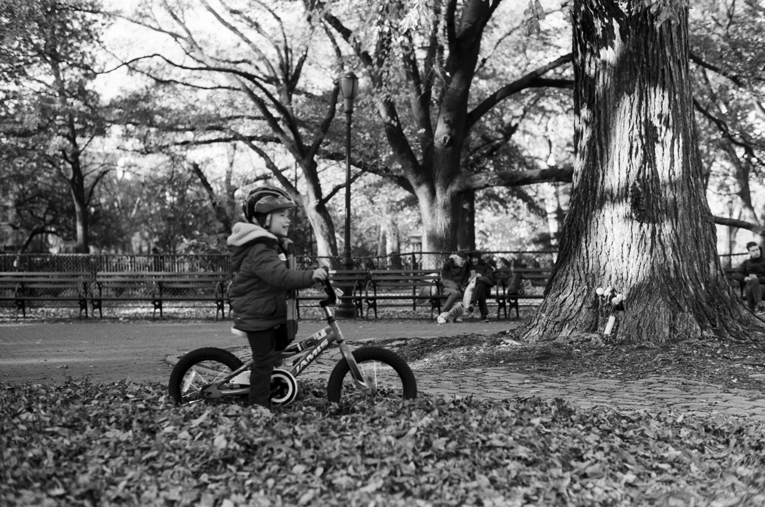 Dana Click_In the Moment Photography Exhibit 2022_27.JPG