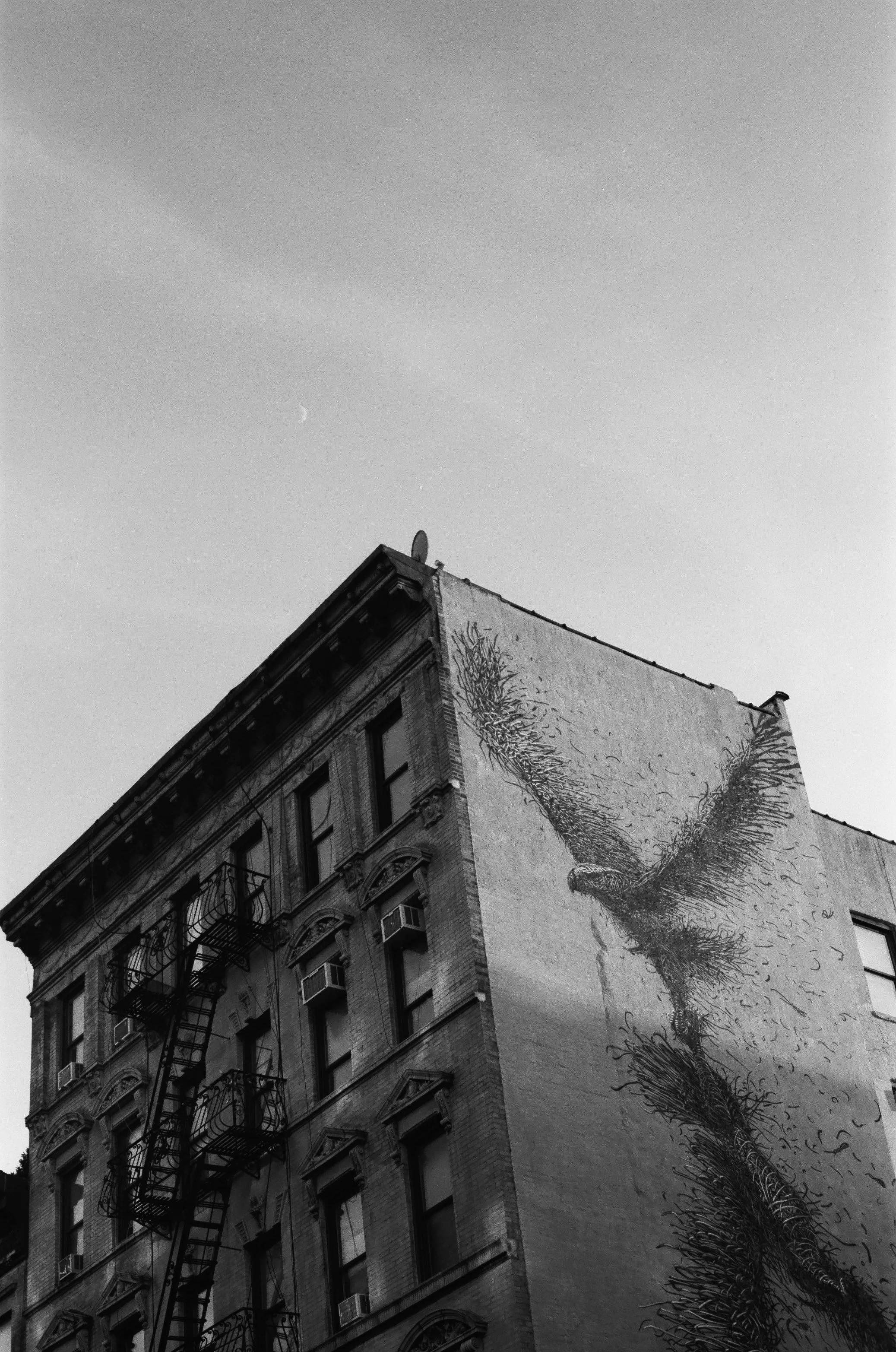 Dana Click_In the Moment Photography Exhibit 2022_57.jpg