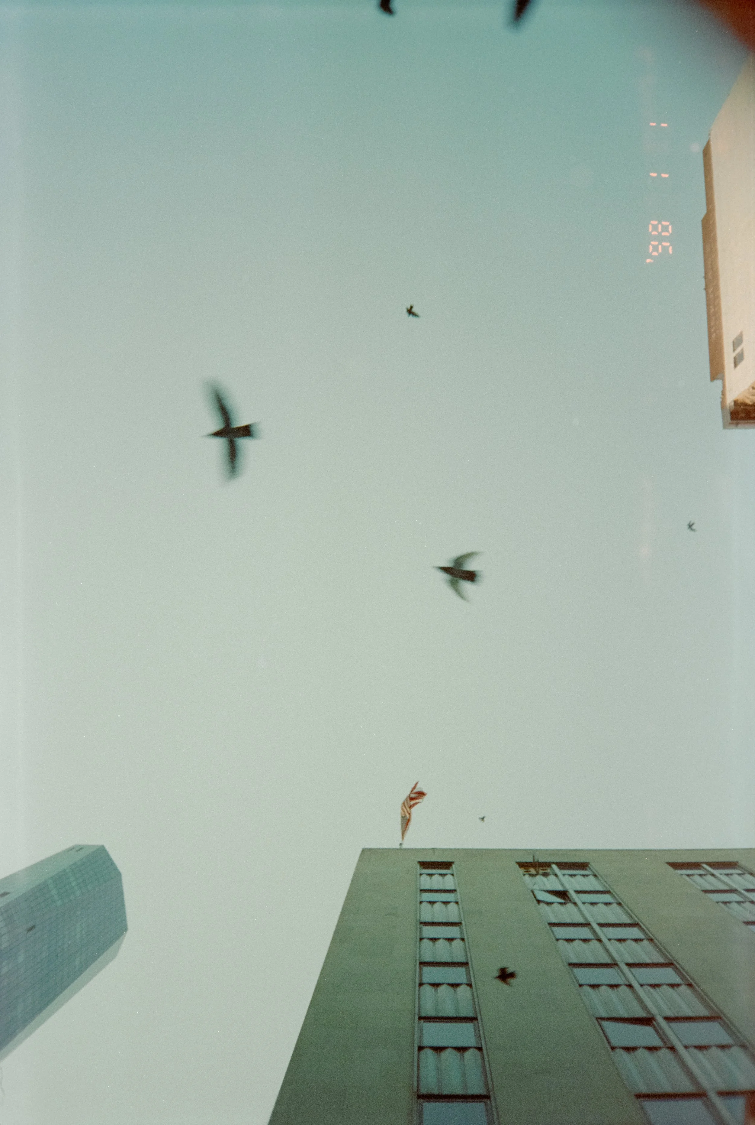 Dana Click_In the Moment Photography Exhibit 2022_52.jpg