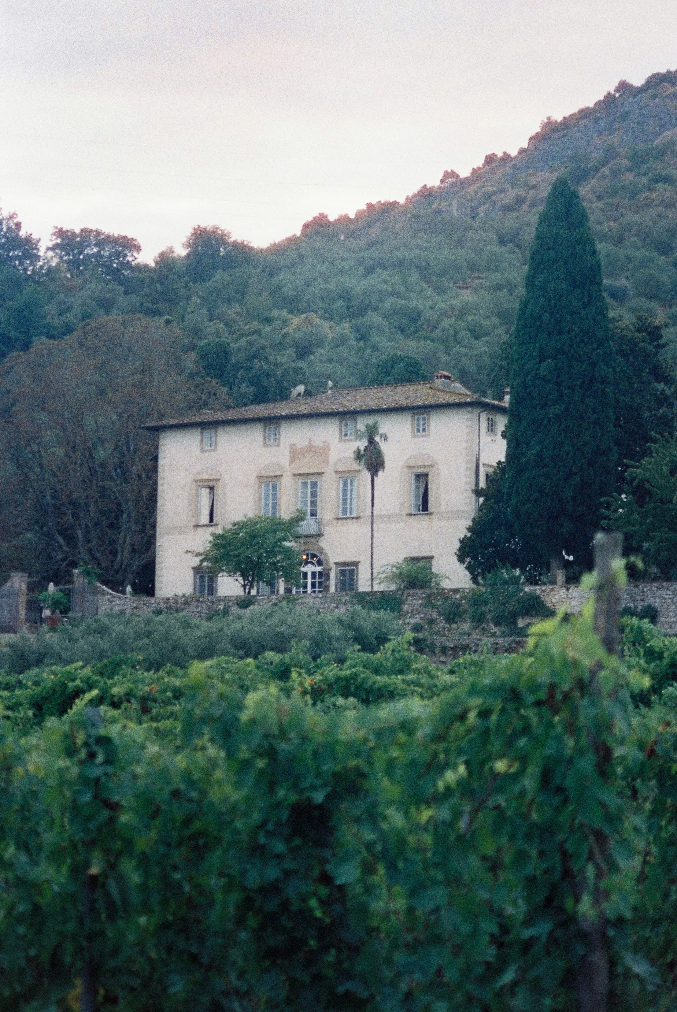 a84848-000003.jpg