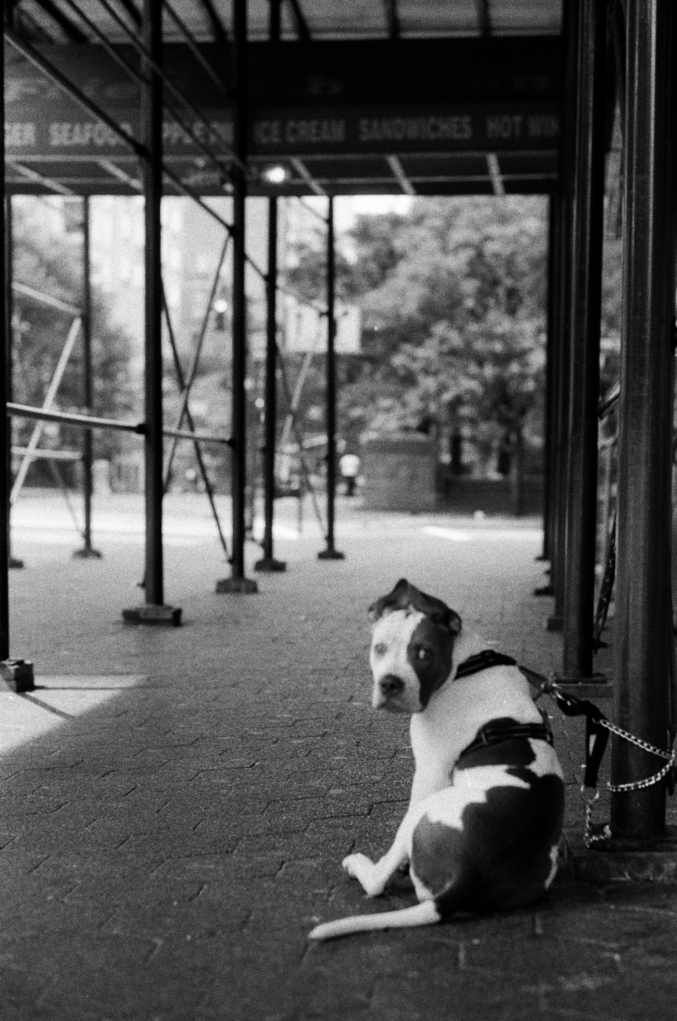 Dana Click_In the Moment Photography Exhibit 2022_99.jpg