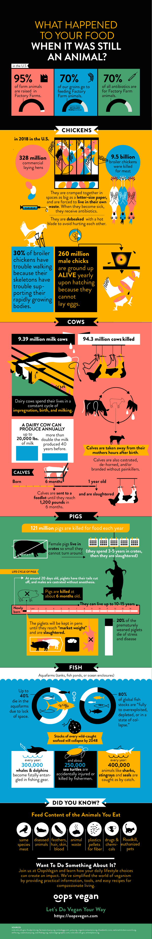 Animal Farm Factory Cruelty Infographic — Oops Vegan Lifestyle