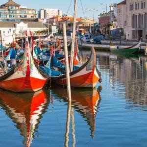 Book Tours in Aveiro