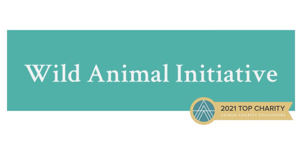 10 Animal Charities To Donate To When You Need A Good Cause To Support — Oops Vegan Lifestyle 10 Animal Charities To Donate To When You Need A Good Cause To Support — Oops Vegan Lifestyle