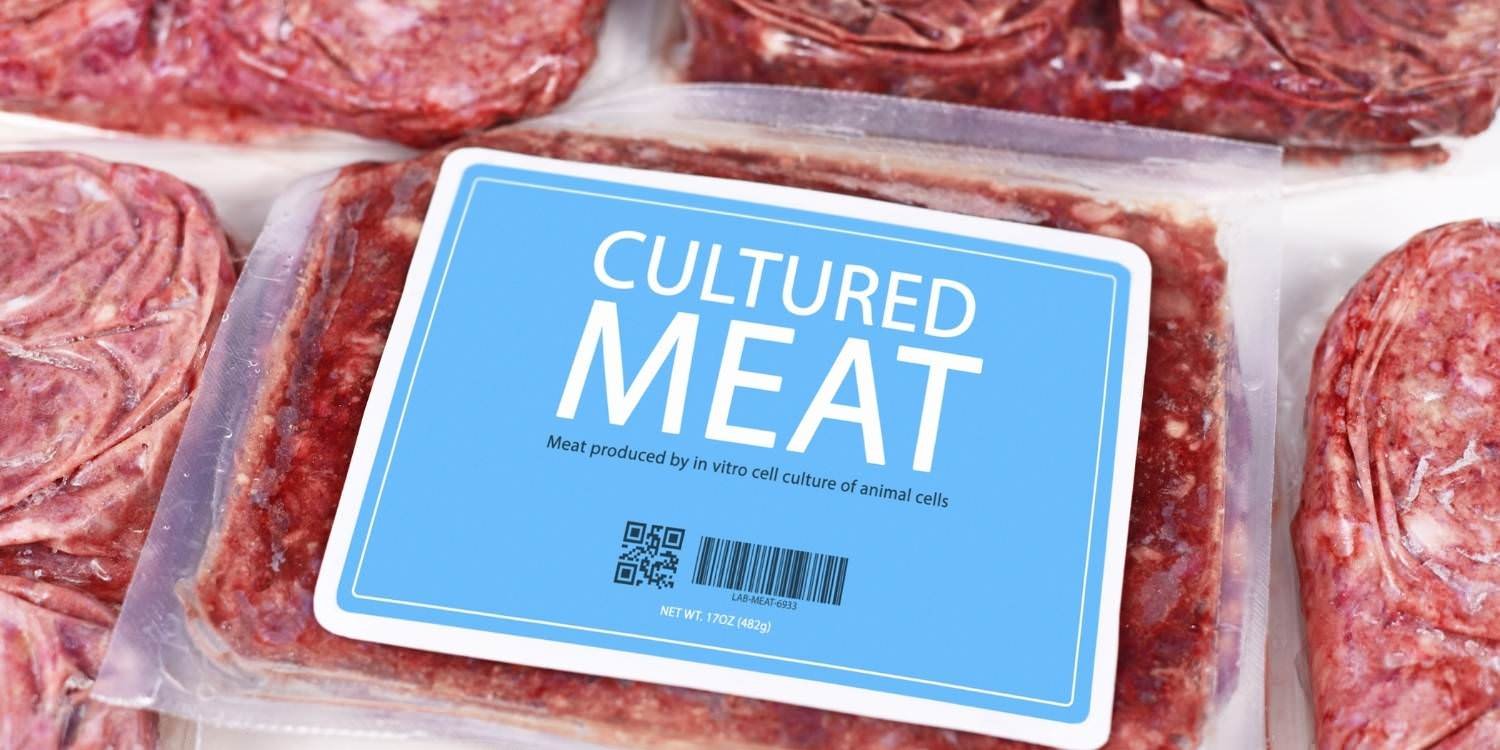 What Is Cell Cultured Meat? — Oops Vegan Lifestyle