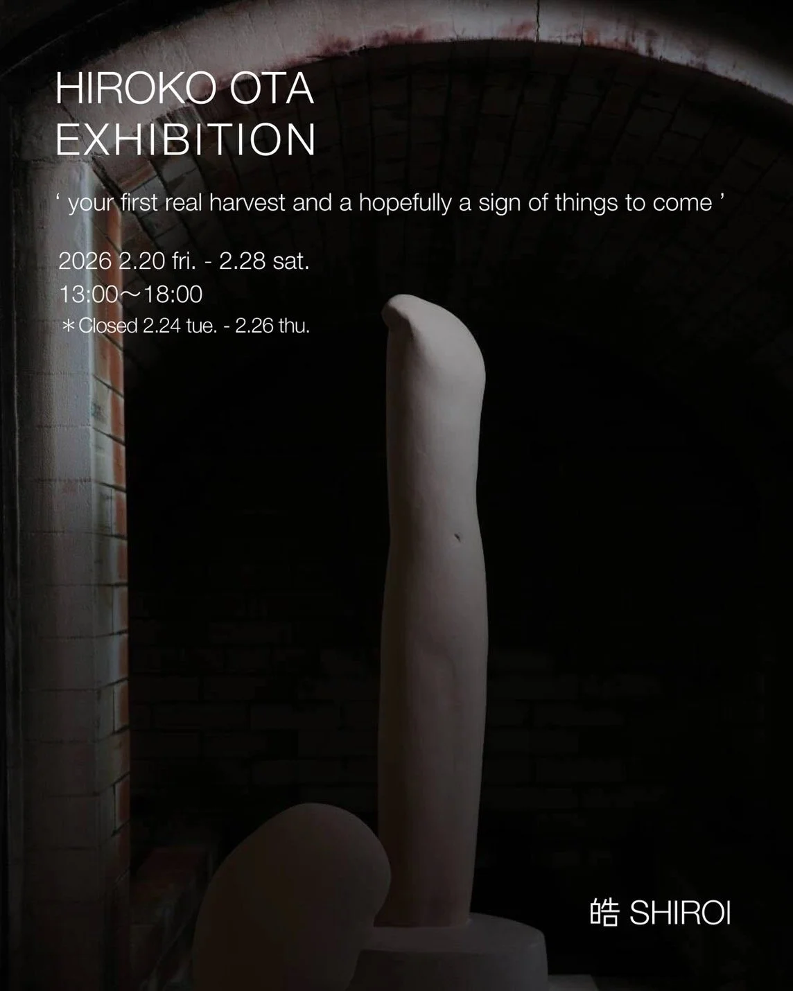 HIROKO OTA EXHIBITION｜2/20-28