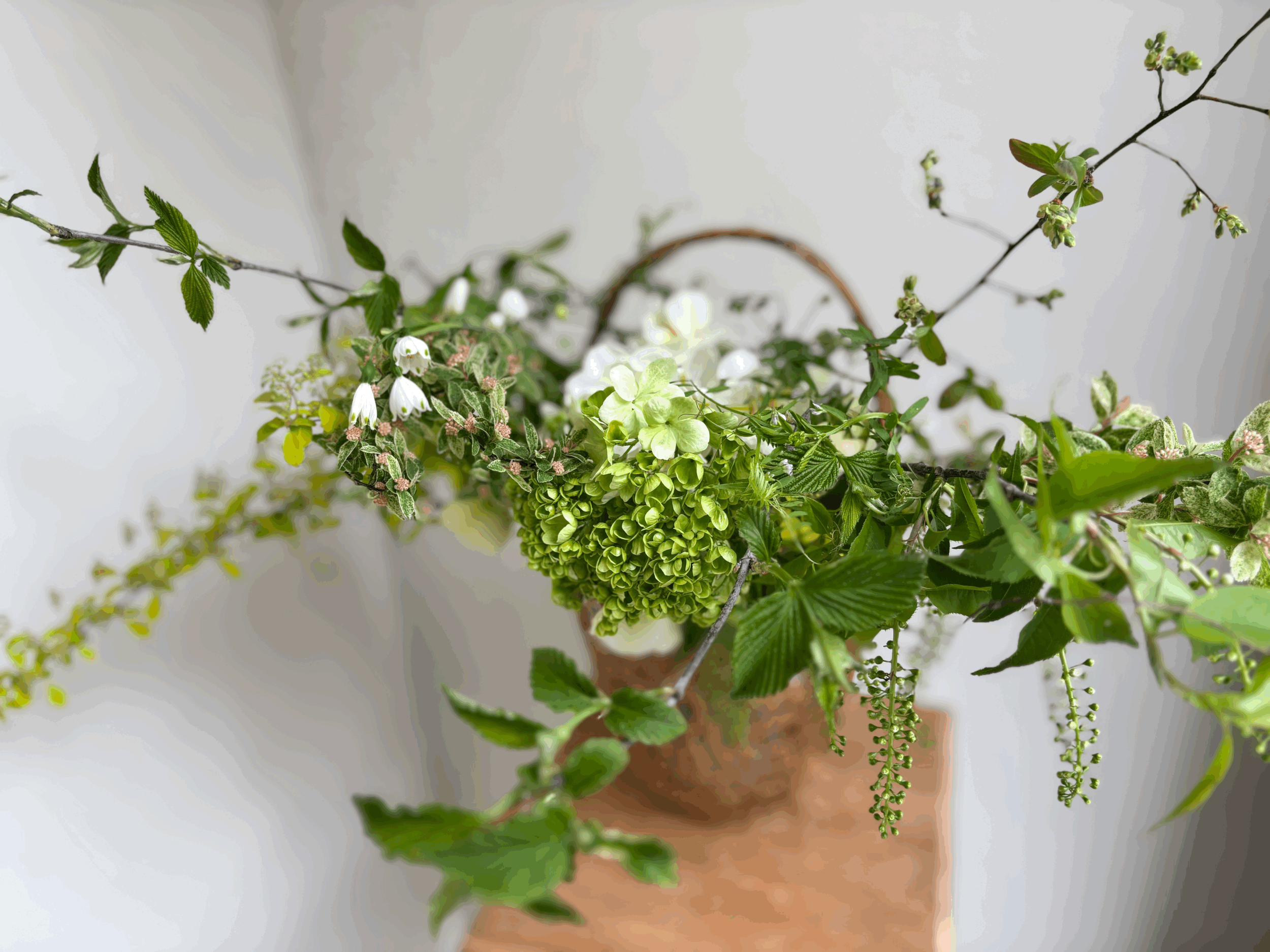 皓花会4月レッスンのご案内 （4/7.18）