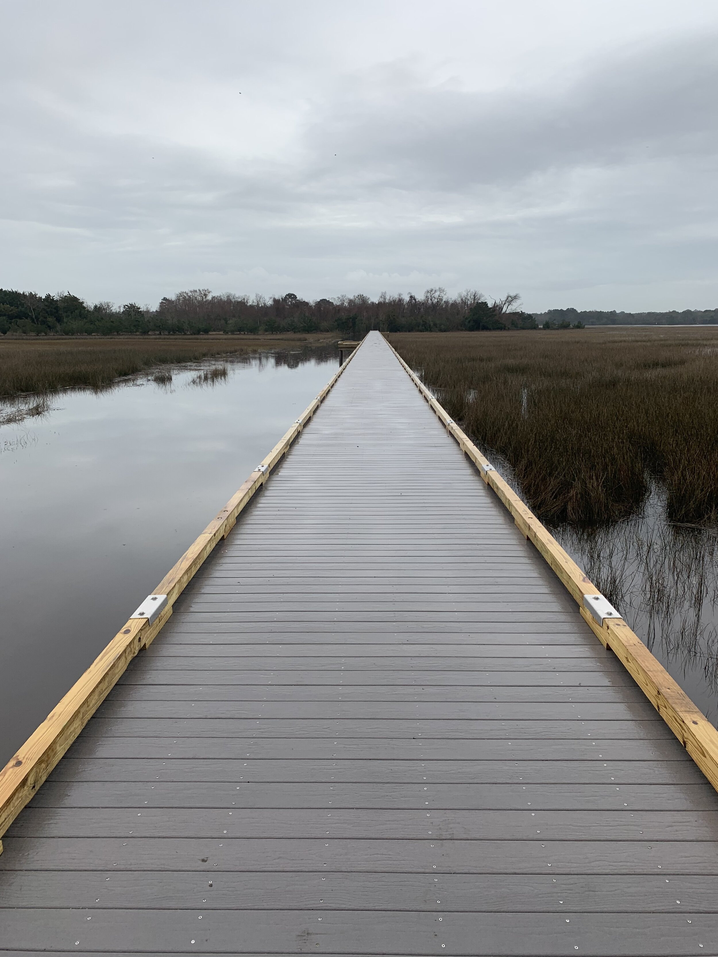 STONO RIVER BOARDWALK
| Charleston, SC