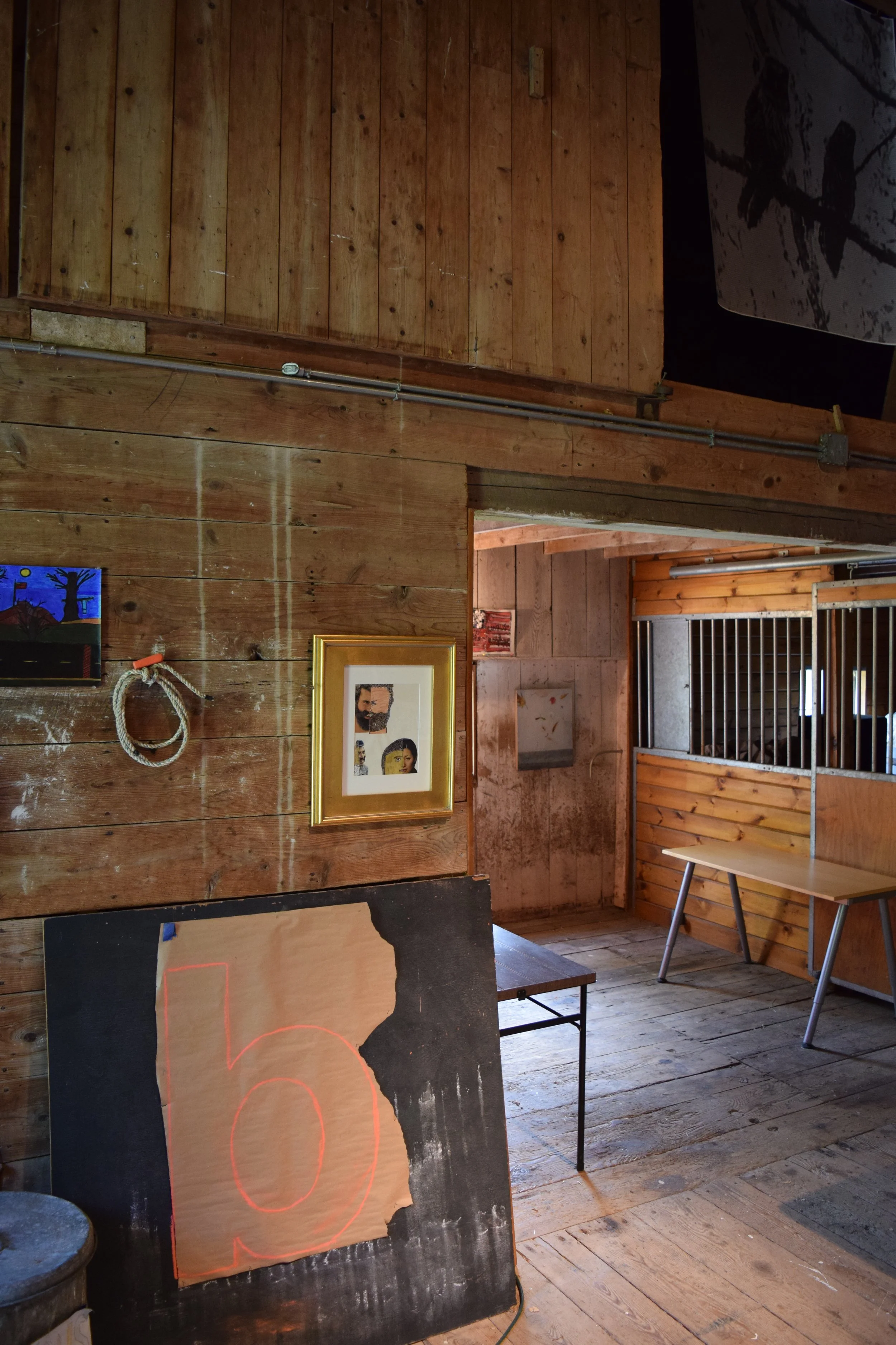 DSC_0175.JPG