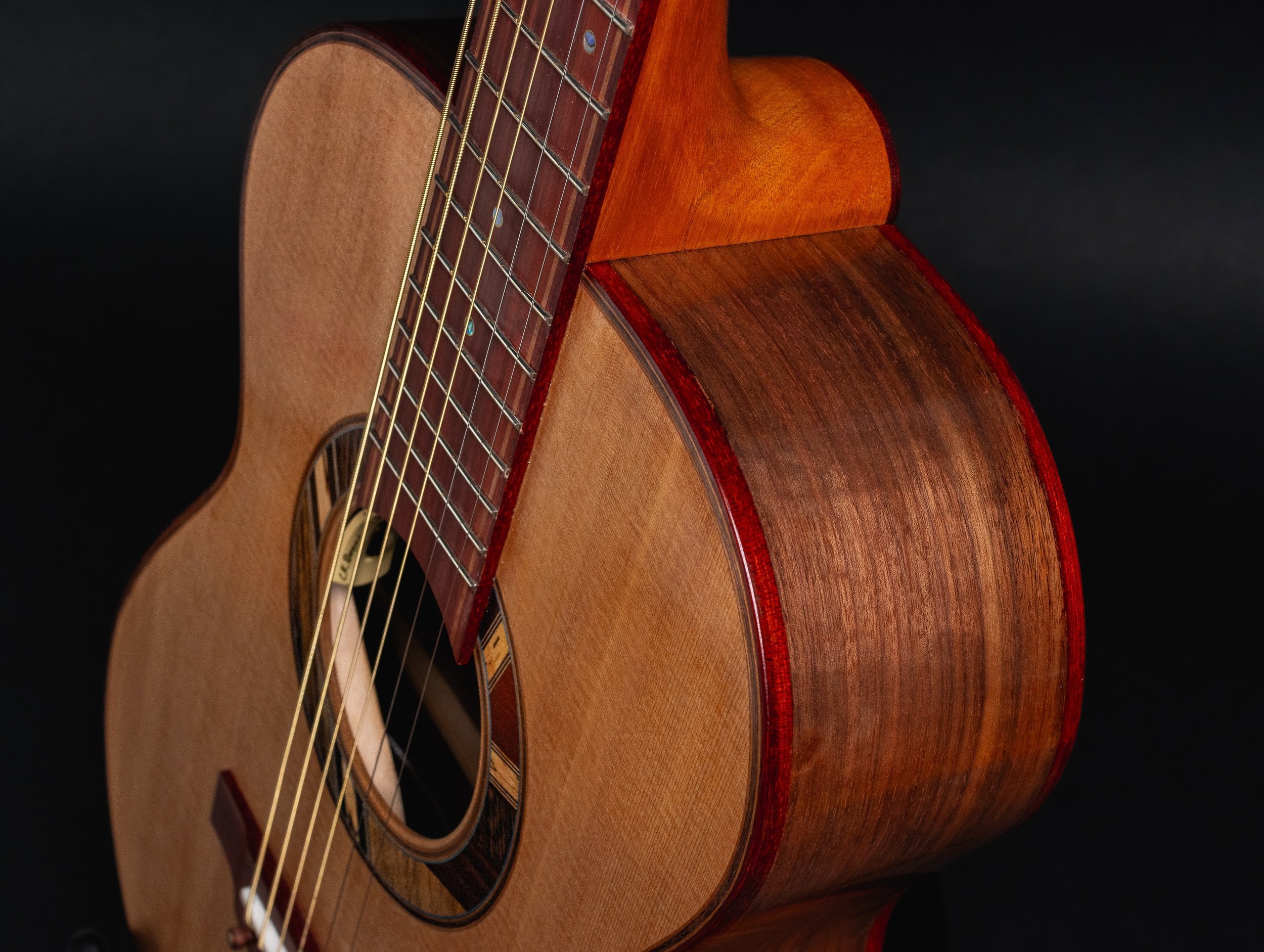 Carousel-Guitars-SN-012-12.jpeg