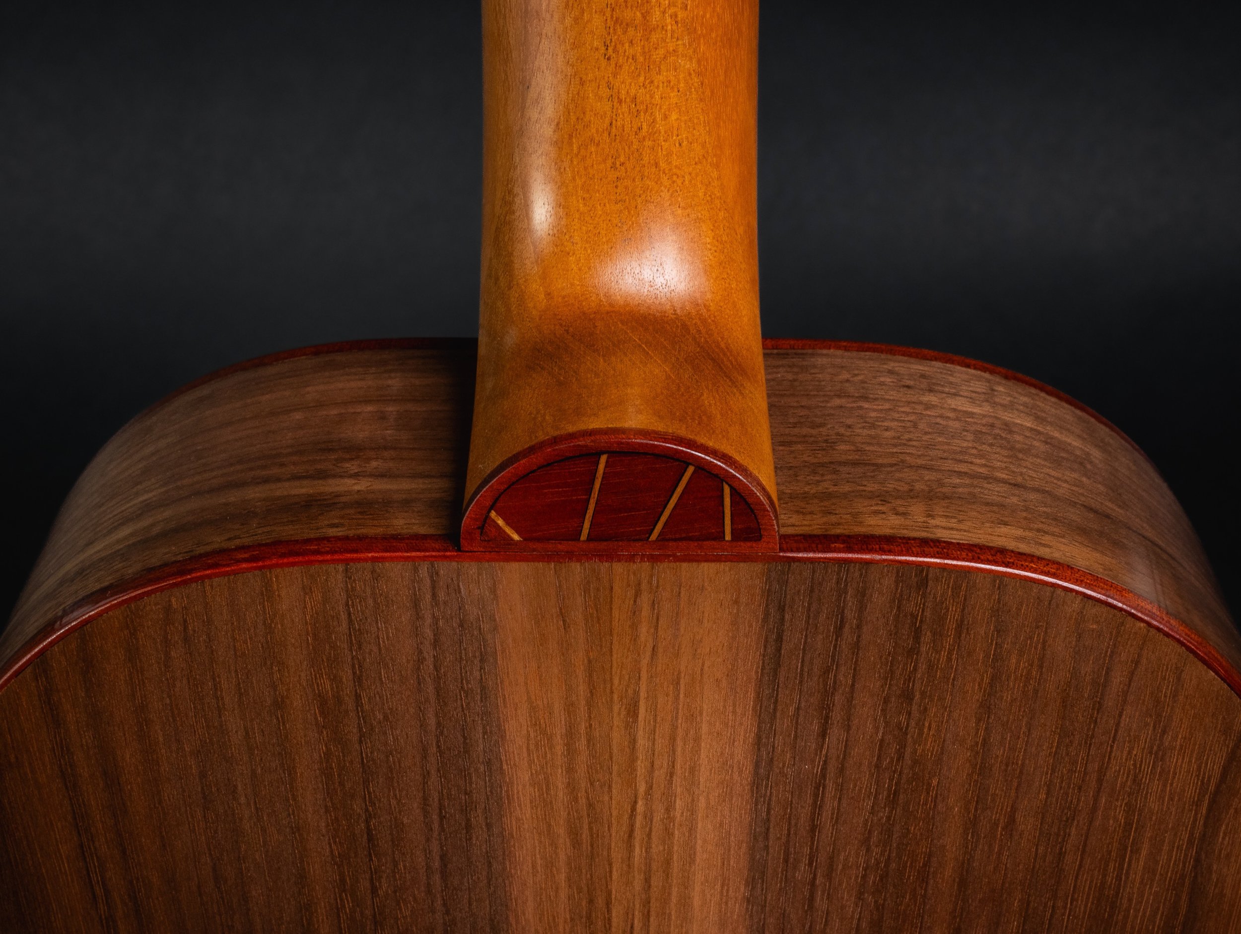 Carousel-Guitars-SN-012-13.jpeg