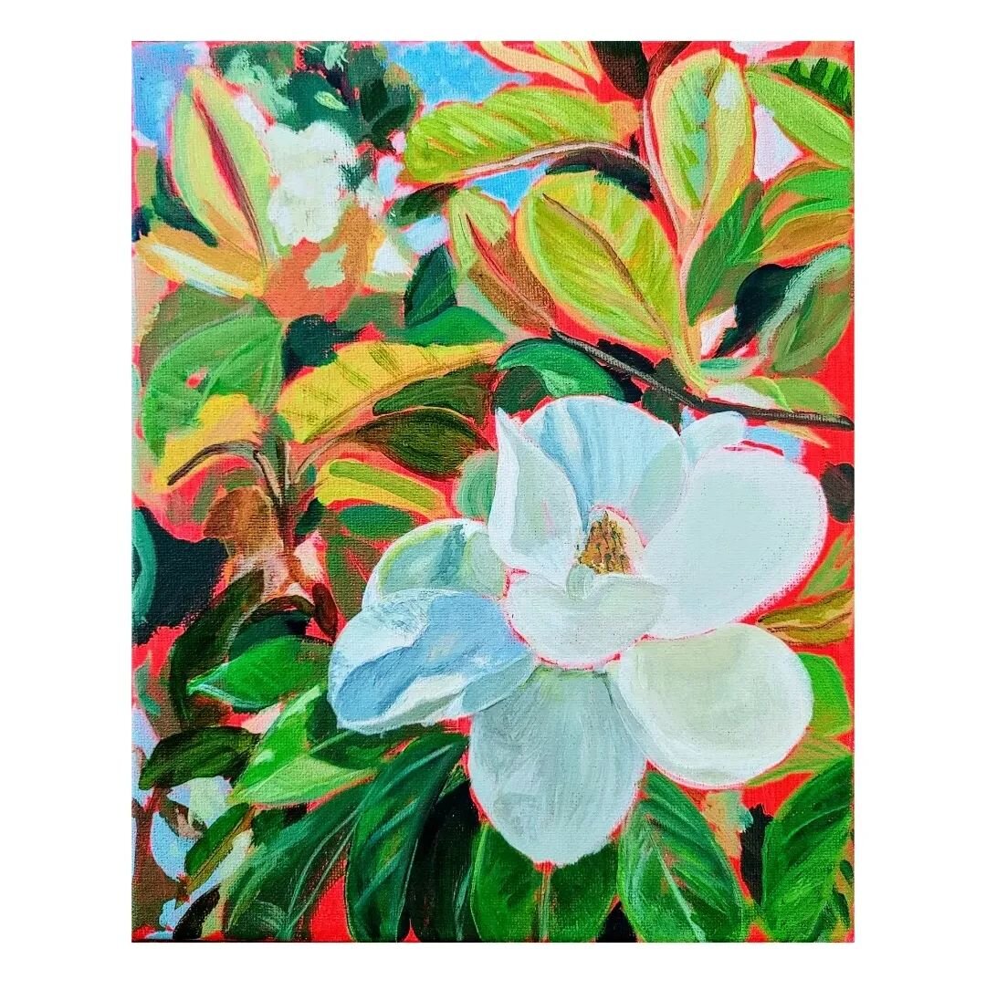 Magnolia in process!
Who knew socal would be full of these beauties blooming as we speak!

#acryliconcanvas🎨 #flowerpainting #magnolia #magnoliaflower #magnoliatree #southernmagnolia #wip #summerflowers #floralartwork #floralpainting #irvine #floral