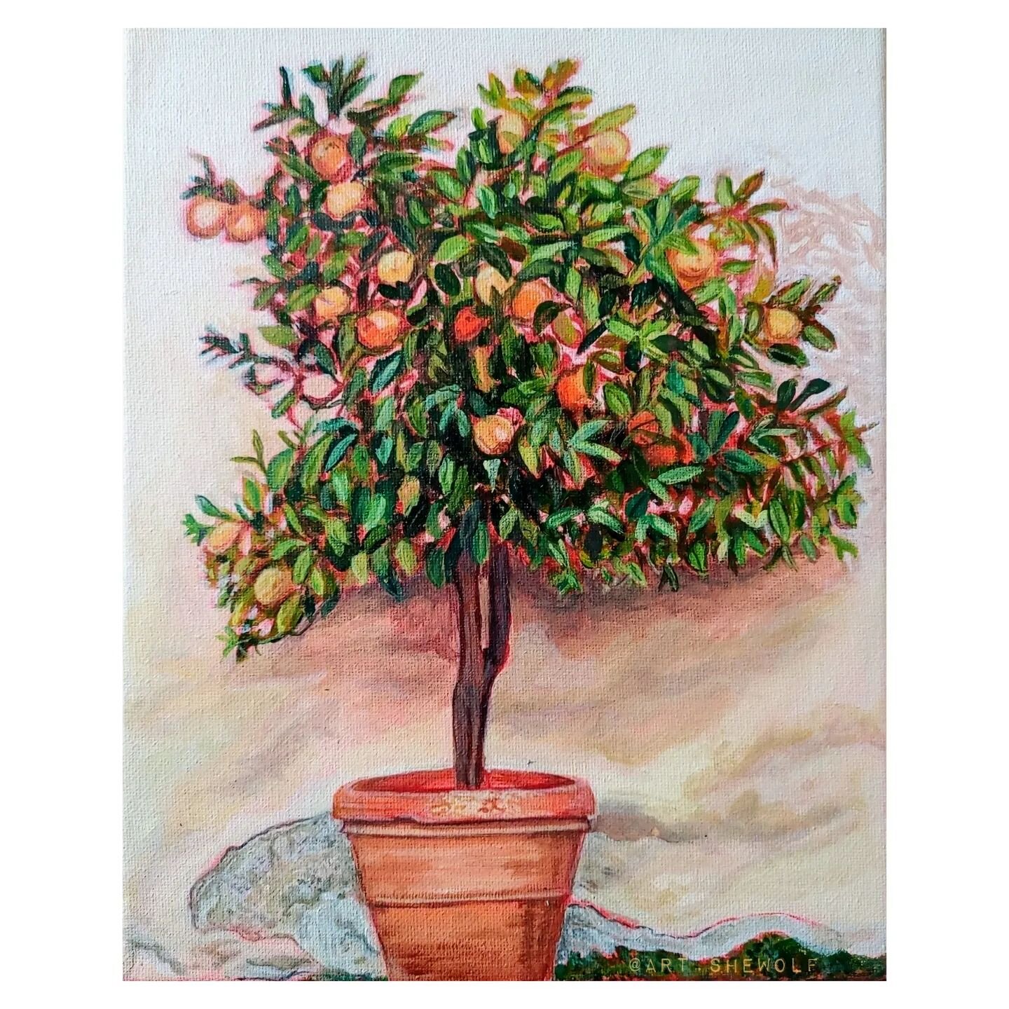 One of my favorite scents in the world is the sweet perfume of orange blossoms. Orange groves, neroli, citrus smells take me to beautiful places on my mind where abundance, sunshine and green earthy shrubs and scents are abundant- Spain- the mediterr
