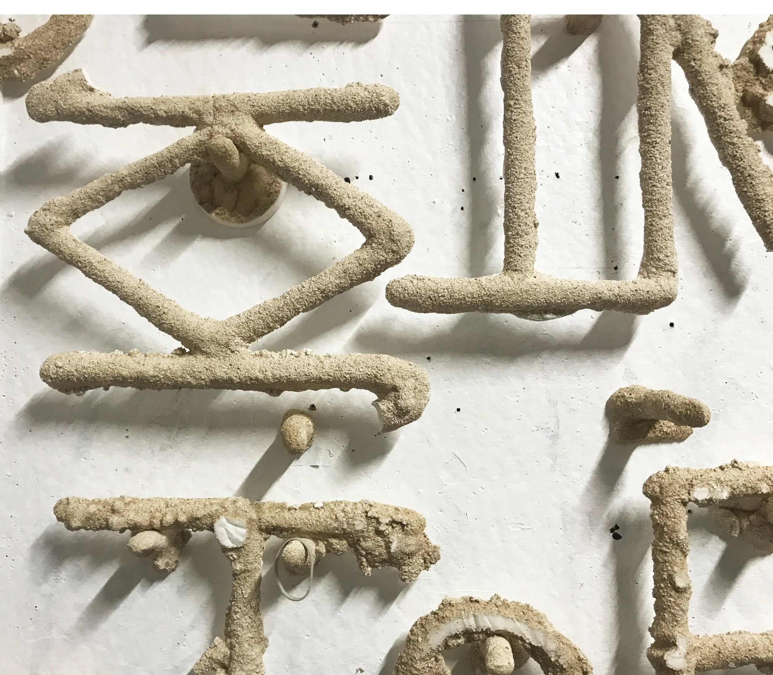EXHIBITION LAUNCH: THIS WON'T LAST