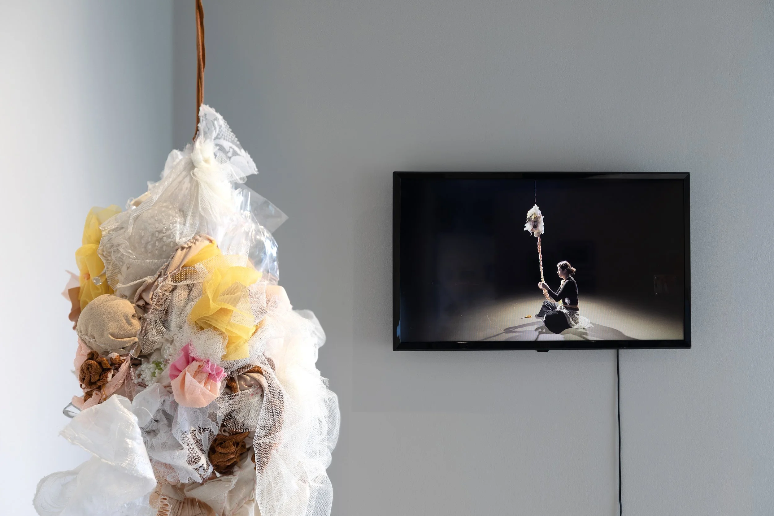  Lily Wroblewski,  The Absolute,  2025. 