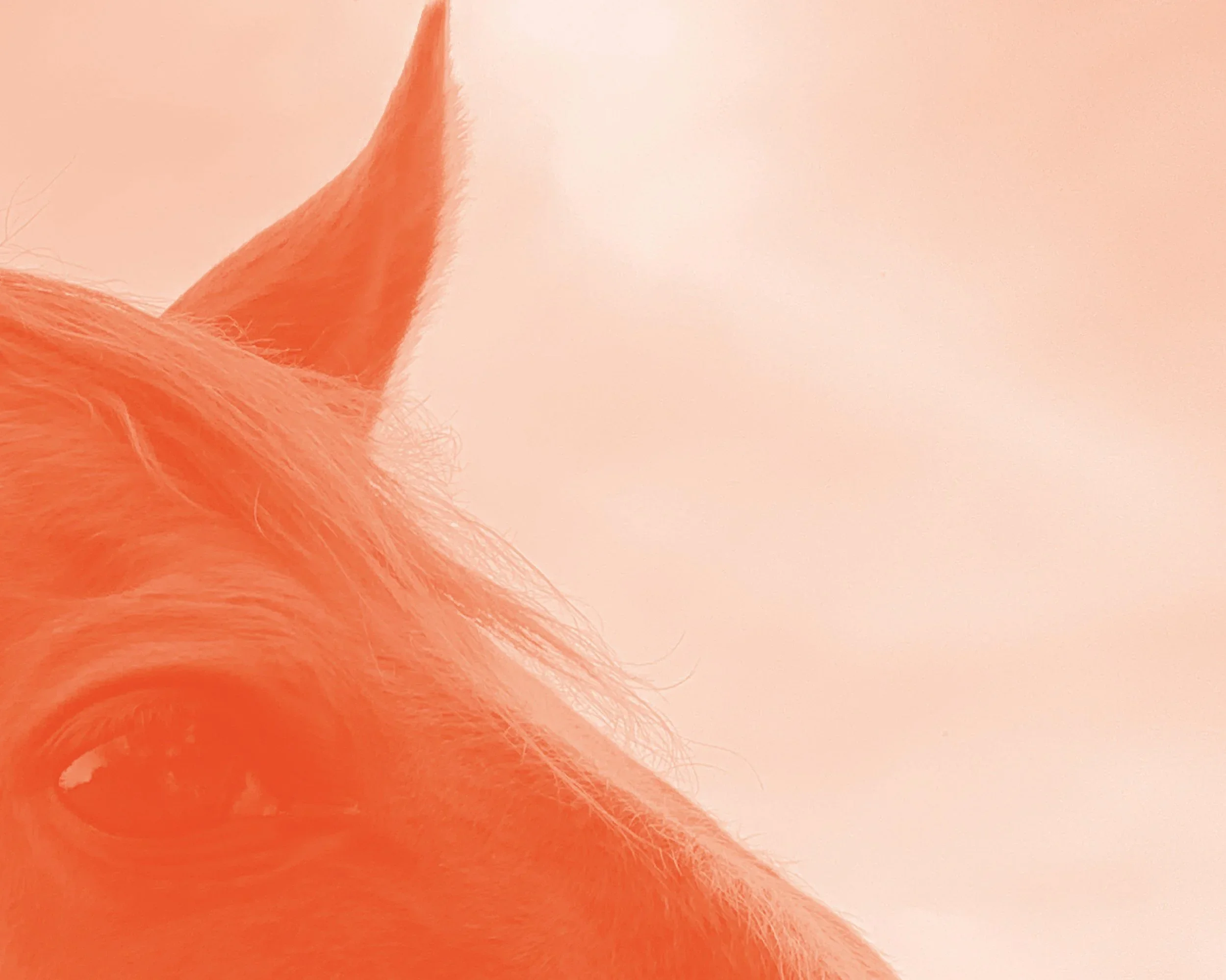       
  
     SIDNEY MCMAHON  ’SIXTY-NINE’  26 JUNE – 15 AUGUST, 2025    Thursday 26 June:    Exhibition Launch    Thursday 7 &amp; 14 August:    Echoes - Student Sound Program    Thursday 14 August:    In Conversation with Sidney McMahon    Friday 