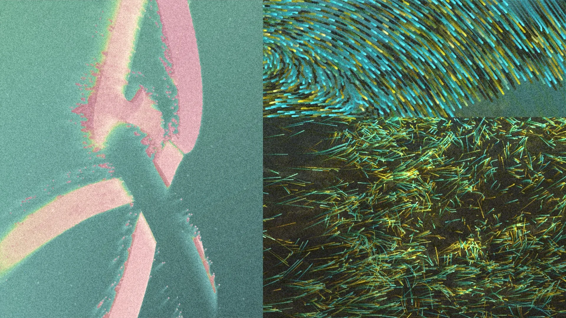       
  
     EVAN JAMES  “LITTORAL ZONE”  MONITORS, WENTWORTH LEVEL 1 (2024)  


  
 #block-d4184e3a957b31d9d341 {
    
    --tweak-text-block-radius: 0px 0px 0px 0px;
  
    --tweak-text-block-radius: unset;
    --stroke-style: none;--stroke-thick