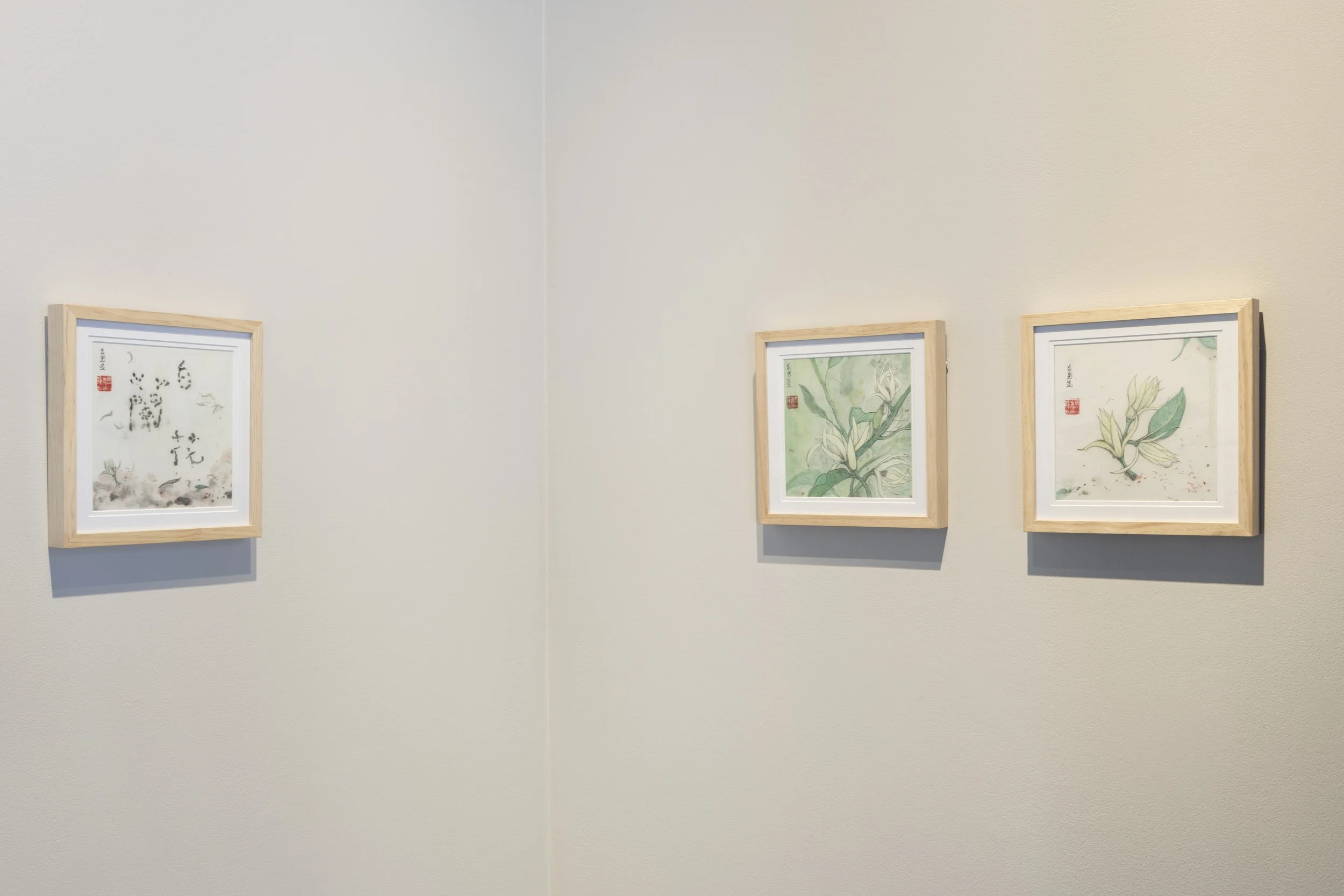 3 square, wood framed watercolour paintings. left to right: Calligraphy with burn marks and falling petals. White orchid plant on green background. Severed white orchid on white background.