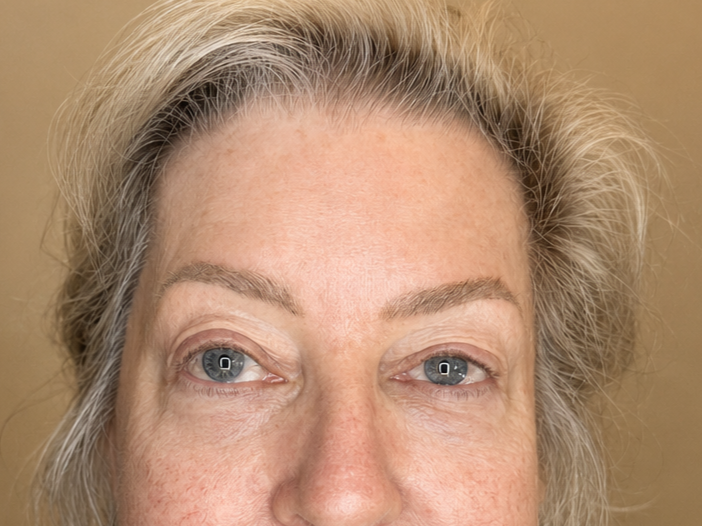 HEALED POWDER BROWS