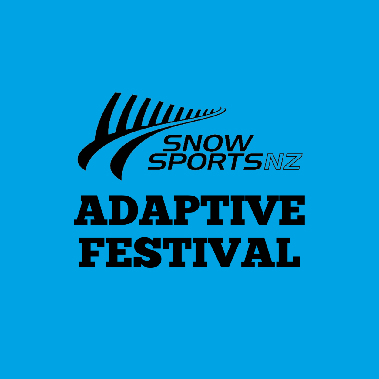 SSNZ: Adaptive Festiival