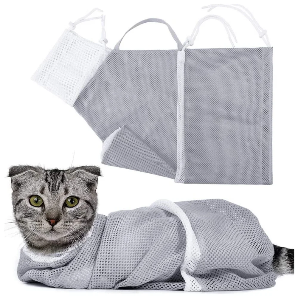 How to Groom a Ragdoll Cat — Ragdoll Kittens For Sale Ragdoll Breeder