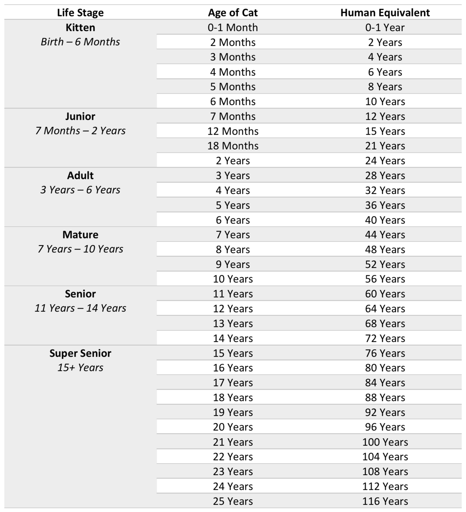 Ragdoll Lifespan - How Long Do Ragdoll Cats Live? — Ragdoll Kittens For ...