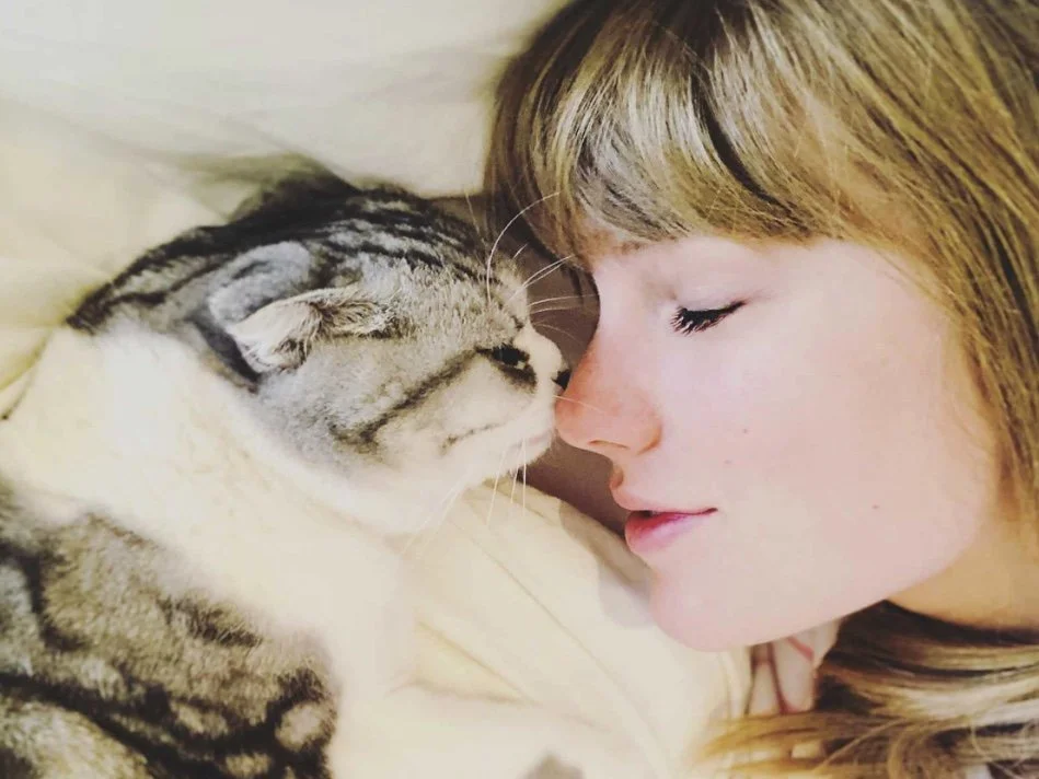 Taylor Swift's cat Meredith Grey kissing her nose while they lay on top of a white sheet in bed