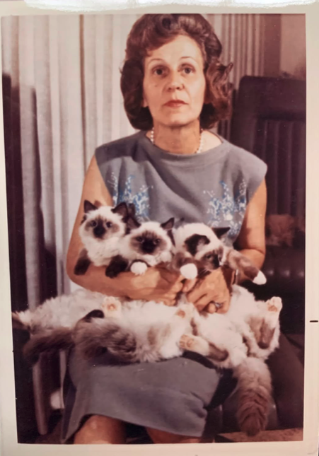 Ann Baker, Ragdoll breeder, holding 3 Ragdoll kittens
