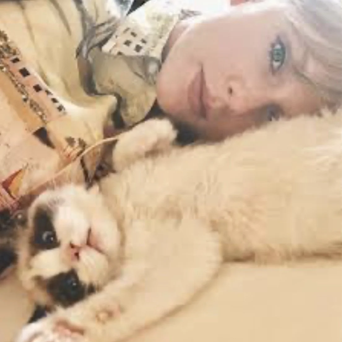 Taylor Swift cuddling with her Ragdoll kitten Benjamin Button in bed