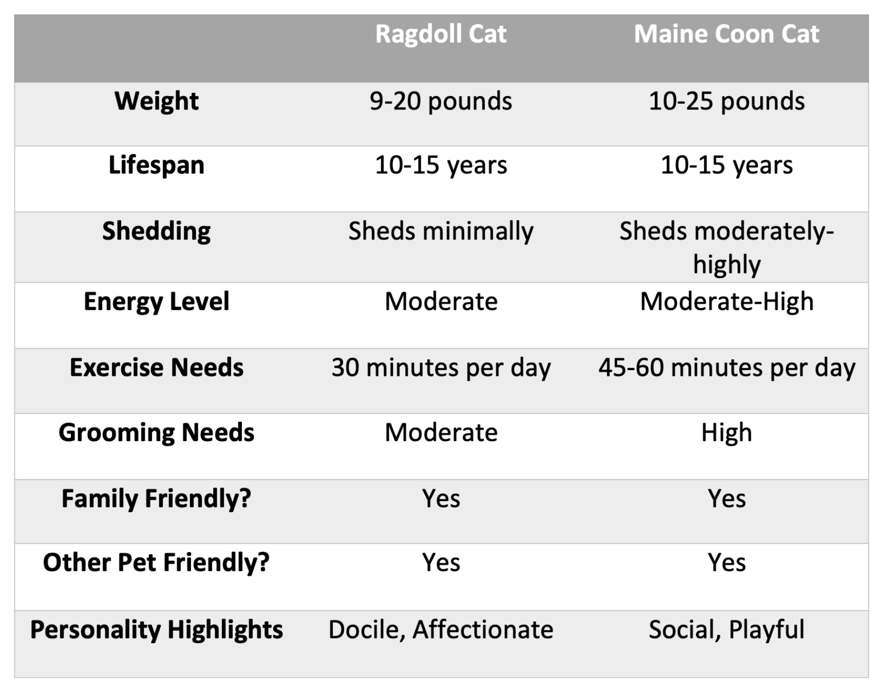 Chart comparing the Ragdoll cat vs the Maine Coon Cat