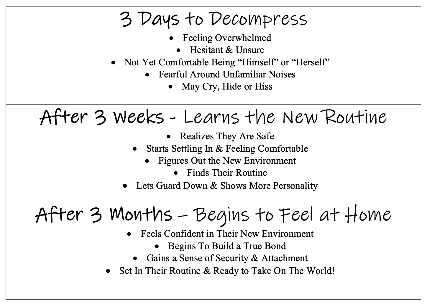 3-3-3 Rule of a kitten adjusting into a new home, including guidelines for the first 3 days, 3 weeks and 3 months
