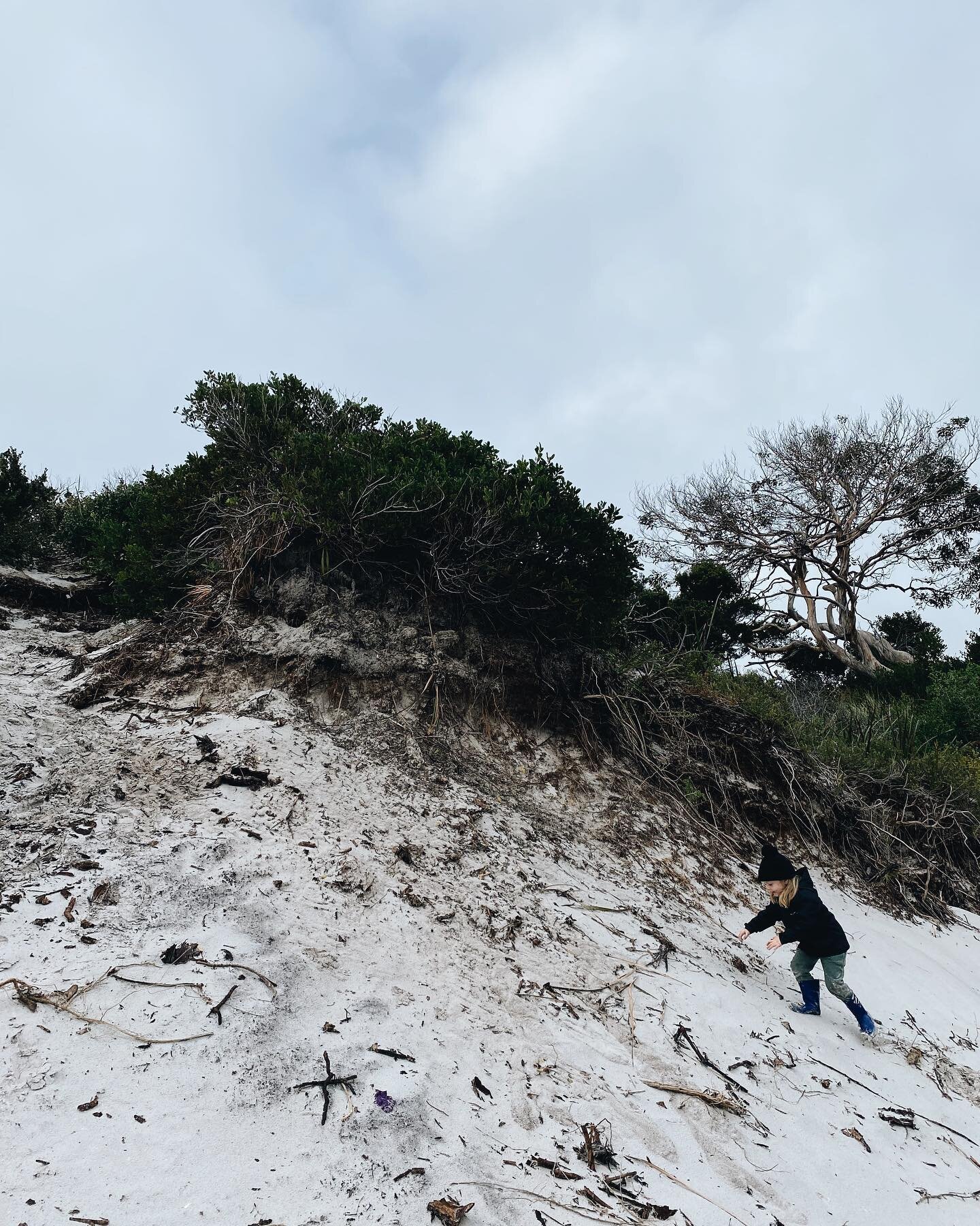 W I N T E R 

It&rsquo;s a winter wonderland - these cold magical winter beach days 🤍

#winterwonderland #airbnb #tasmania #beach #play #magical #eastcoast #seachance