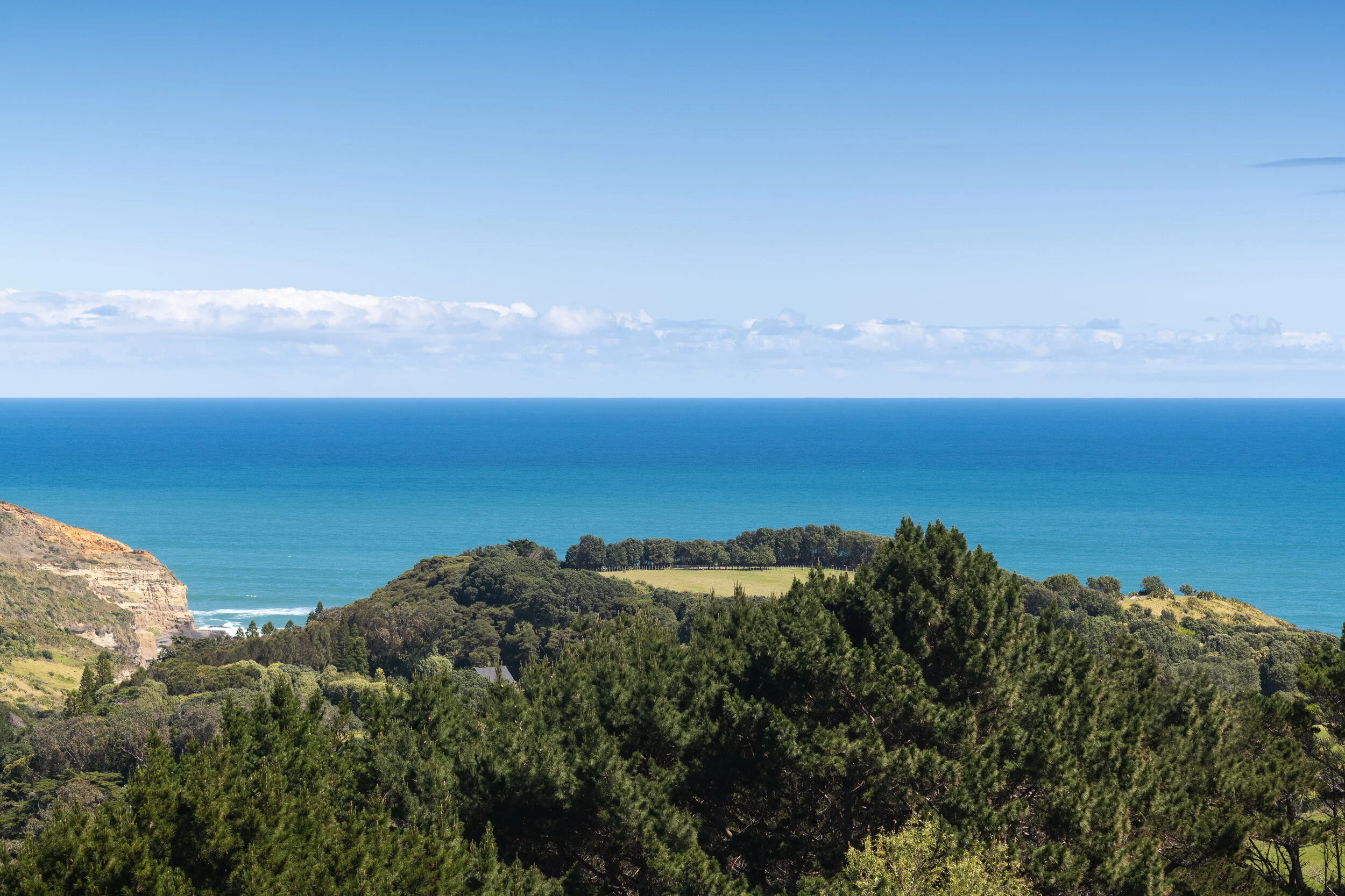 High Res (22 of 25).jpg