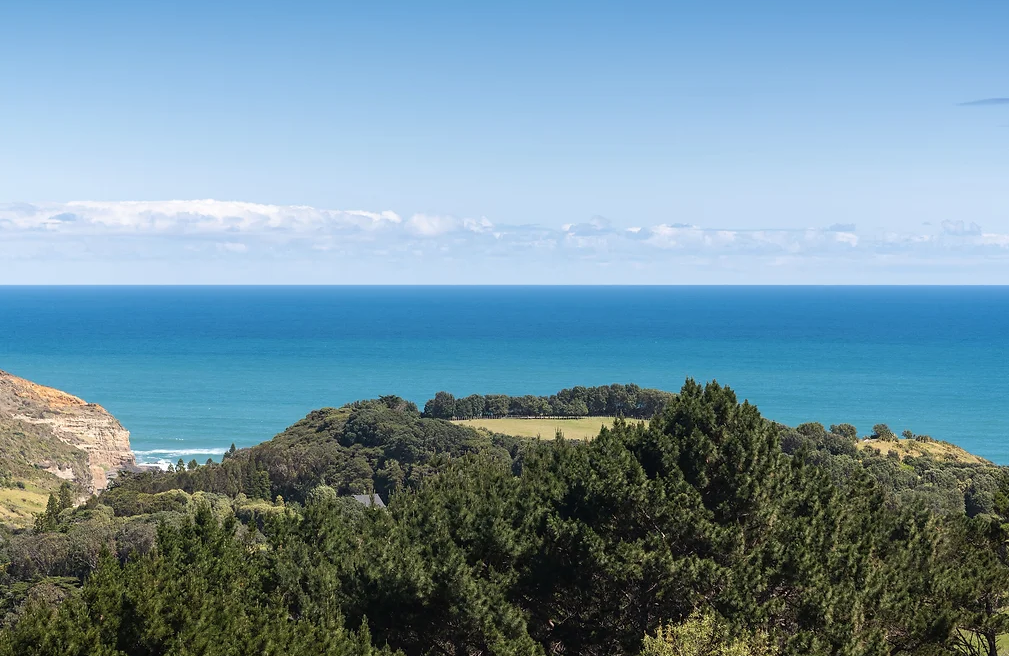 Screen Shot 2022-11-11 at 10.46.26 AM.png