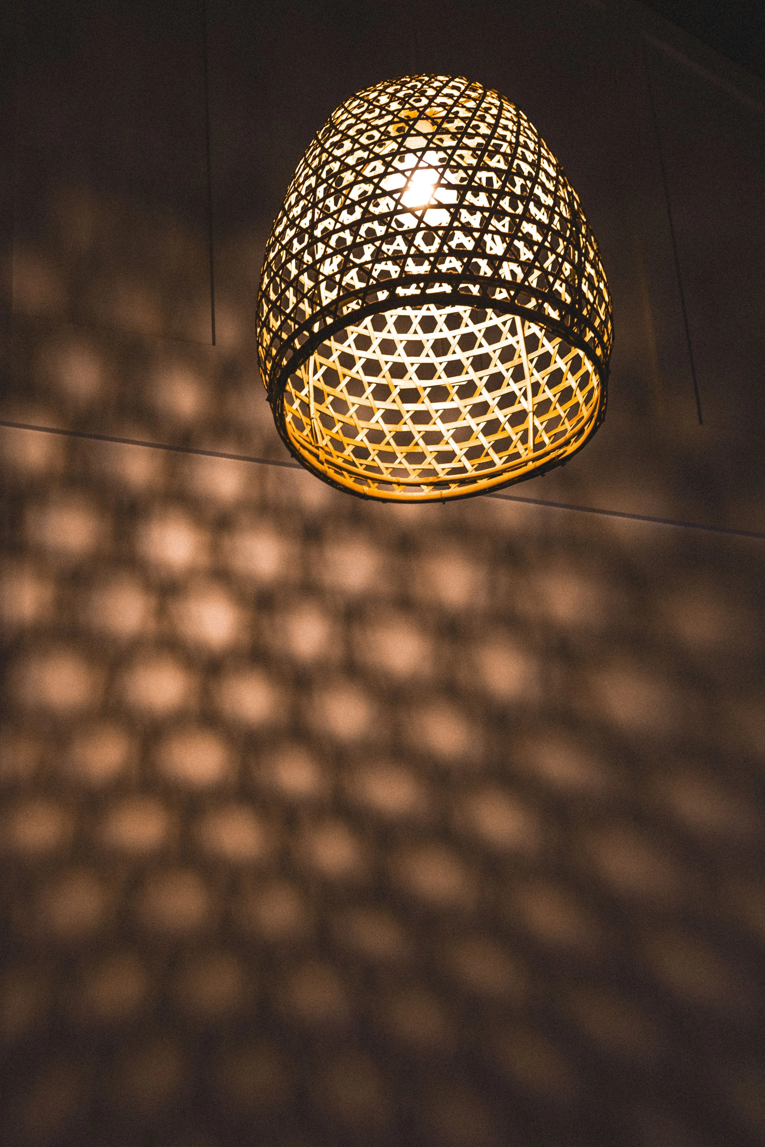   Photography by Eliza Moon  