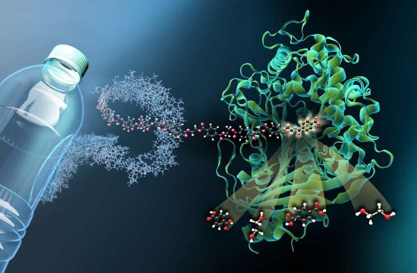 Plastic Eating enzymes Are going to feast!