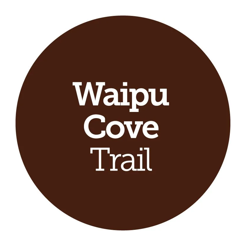 Waipu Cove Trail
