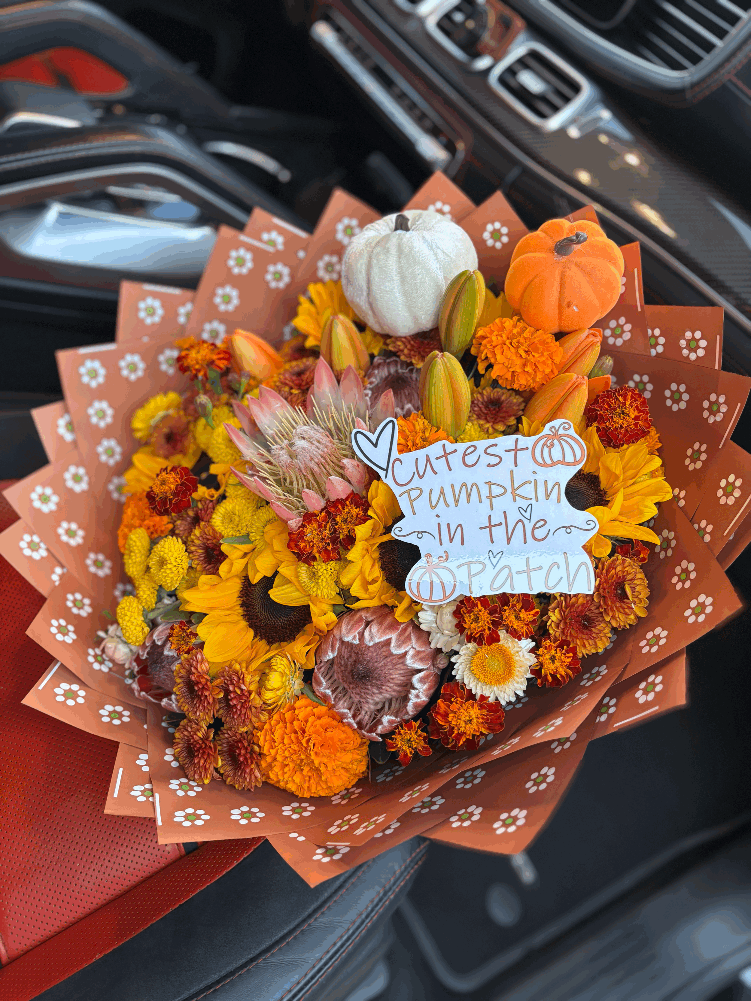 Cutest Pumpkin in the Patch