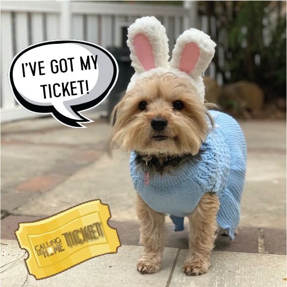 Sabrina has her ticket&hellip; Do you have yours? 🎟️✨

Don&rsquo;t forget to enter the &lsquo;Theatre Pups Competition&rsquo; Challenge to stand a chance to win 2 TICKETS to #CallingUsHomeTheMusical in February 2023!

Click the link in our bio!

@sa