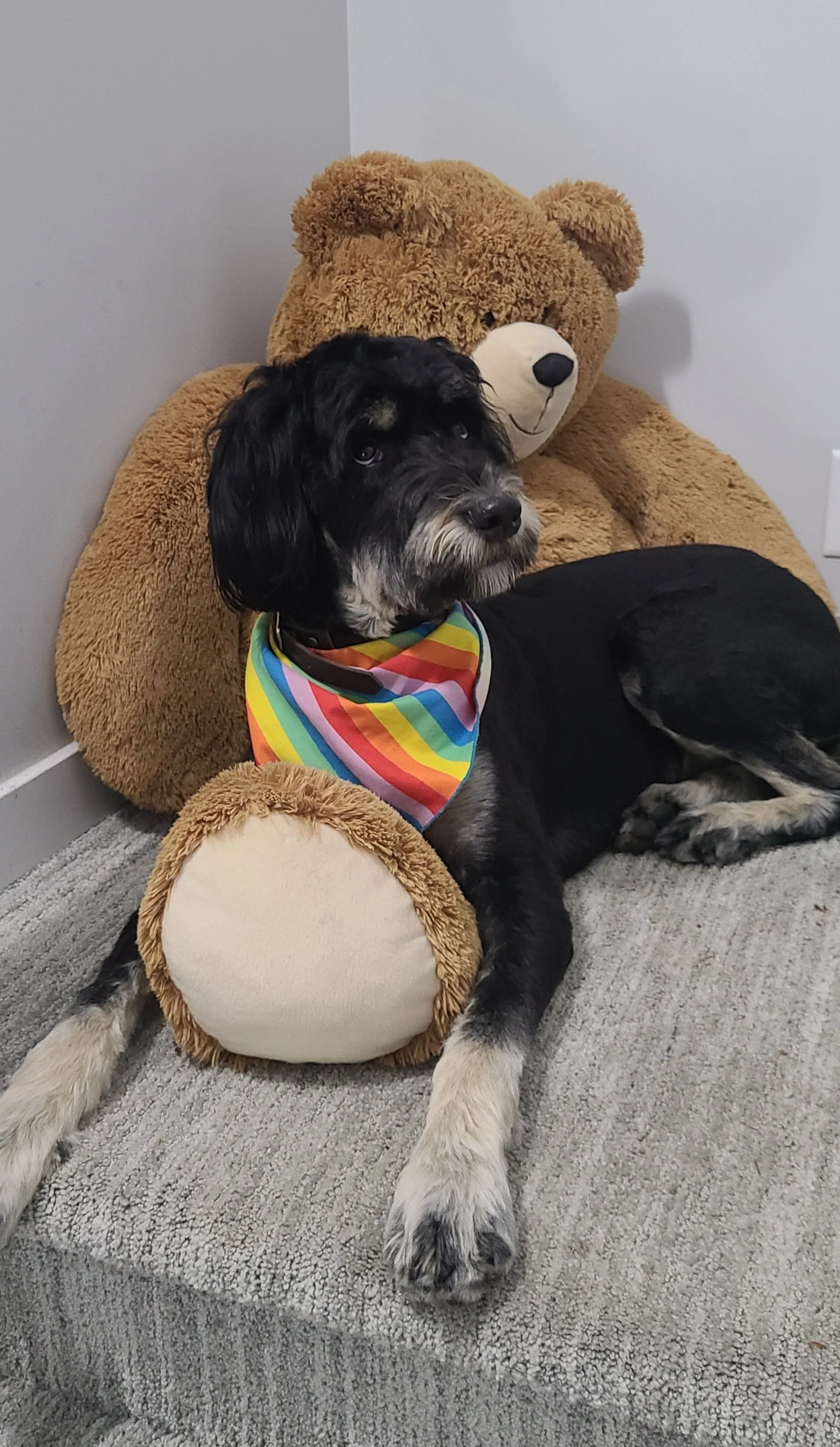 Reese  - Creative Horizons Counselling