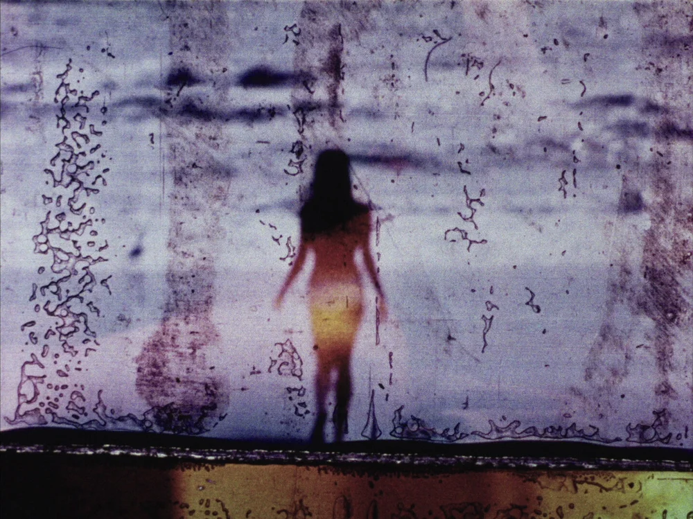 Carolee Schneemann (1964-1967), Fuses