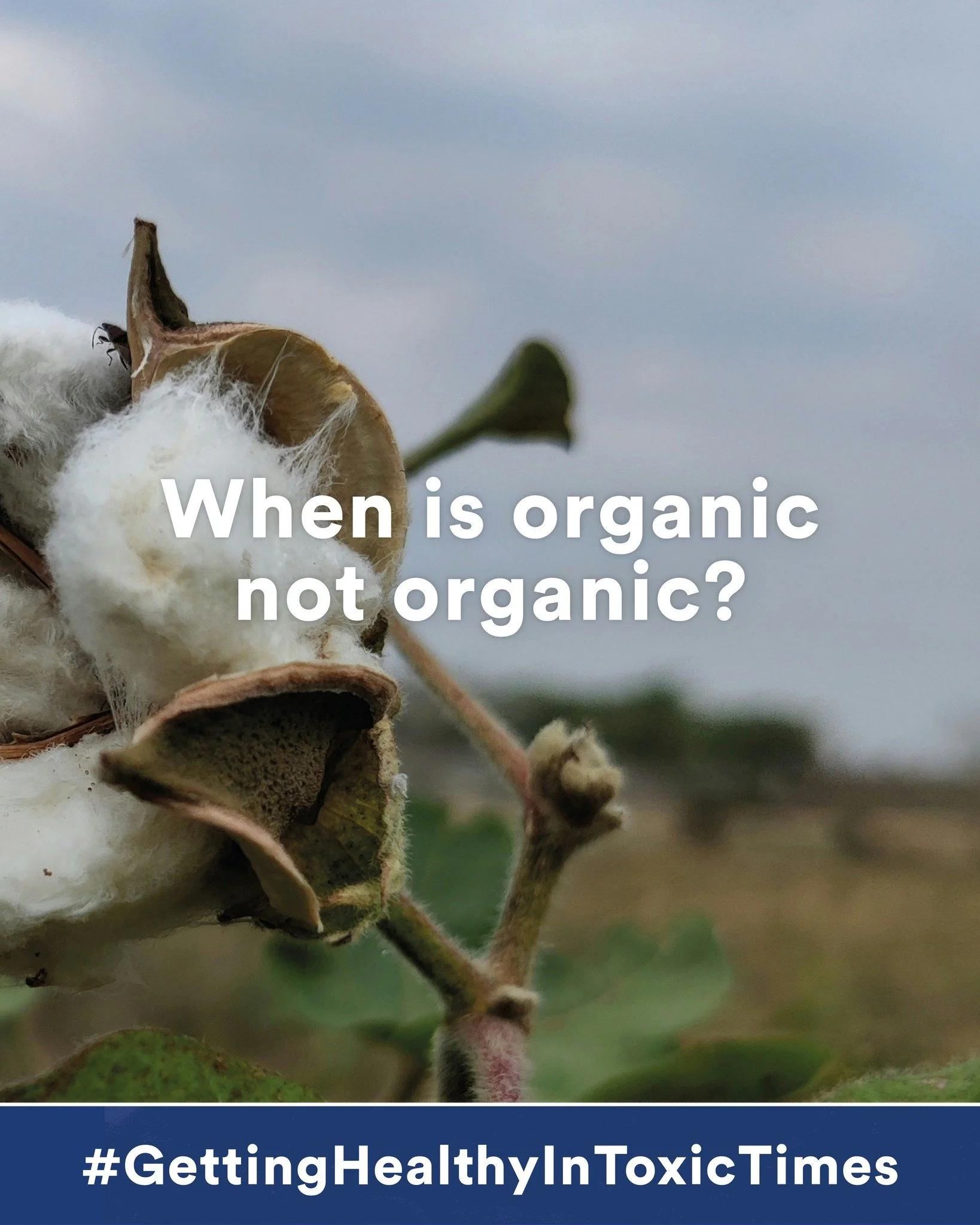 When is organic not organic? Well, quite often when it&rsquo;s not food. When it&rsquo;s cosmetics or clothing. This is a minefield. Labelling laws for food are strict: if it says organic, it generally is, and if it carries the @soilassociation logo,